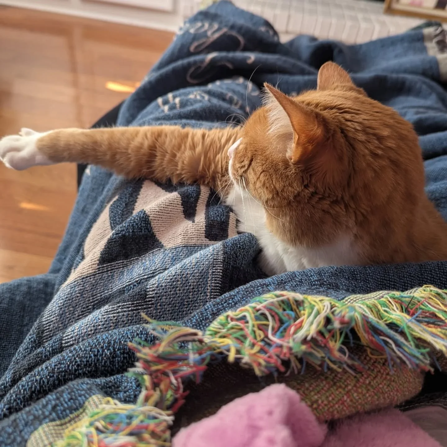 January 🥶❄️🍞😻❤️🩷🍫