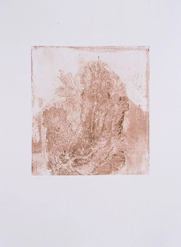SCT-0006-h.jpg
