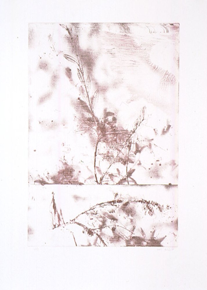 SCT-0006-j.jpg