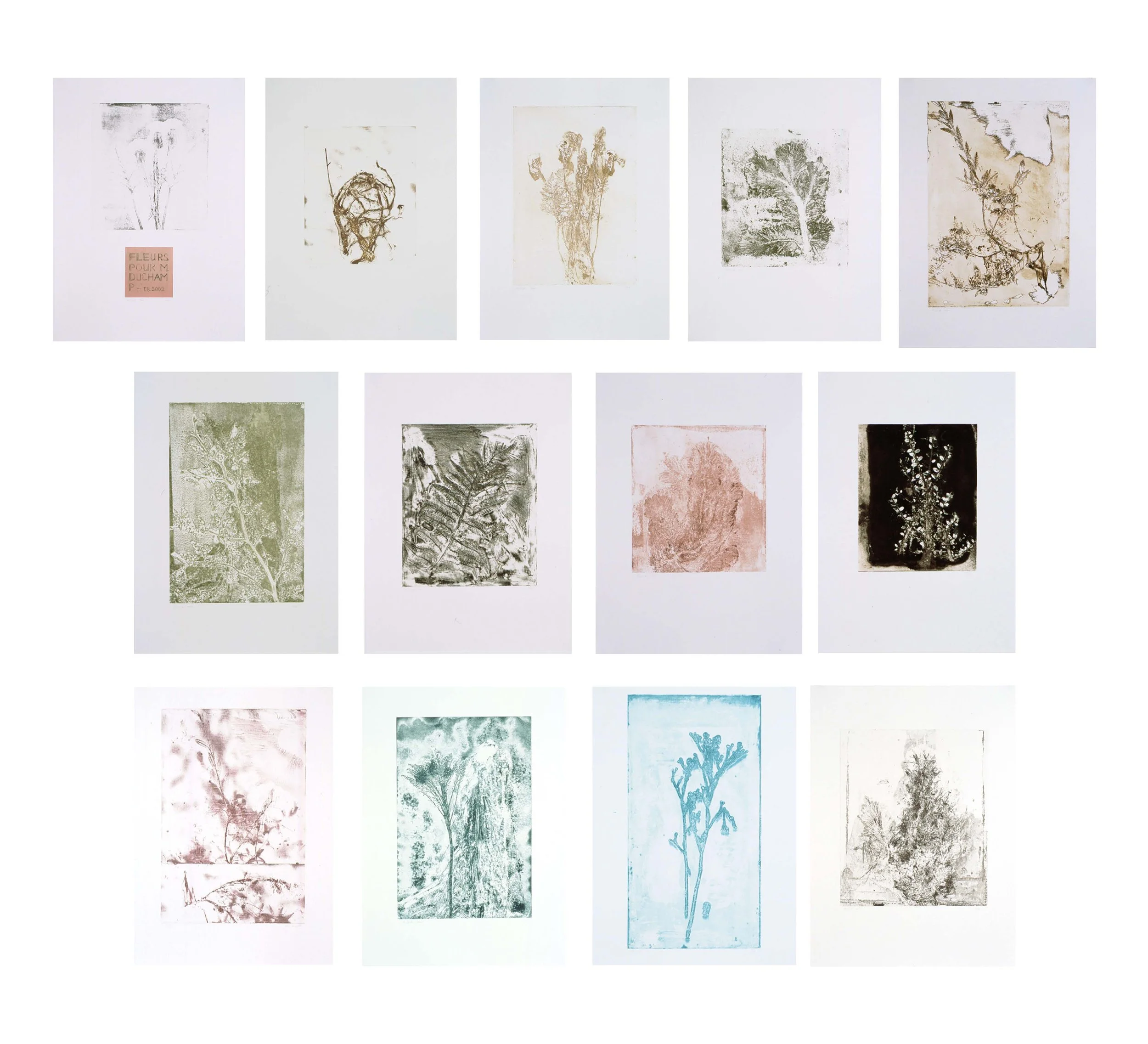 Fleurs pour Duchamp