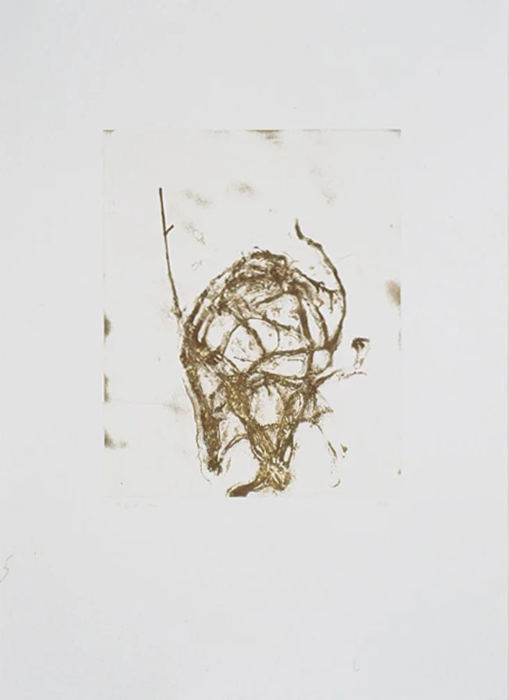 SCT-0006-Fleurs-pour-Duchamp-b.jpg