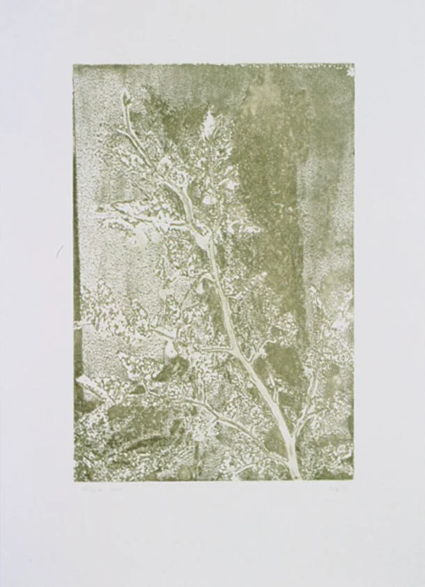 SCT-0006-f.jpg