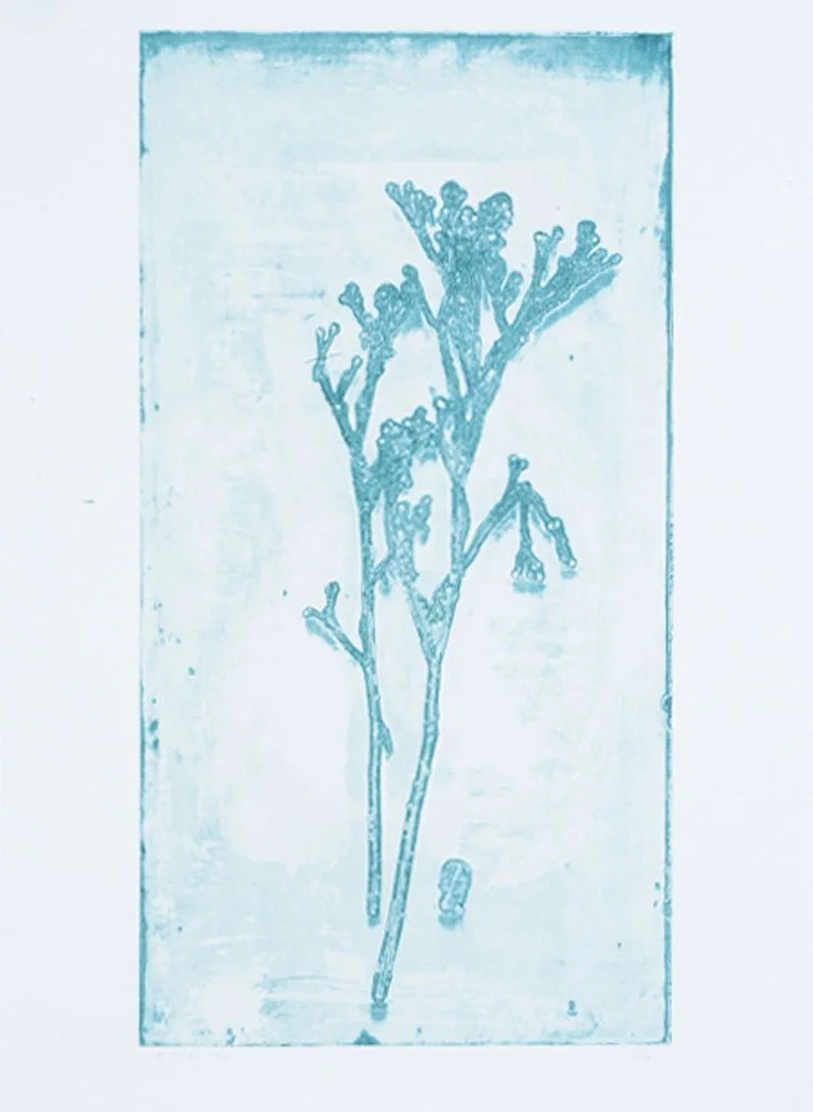 SCT-0006-l.jpg