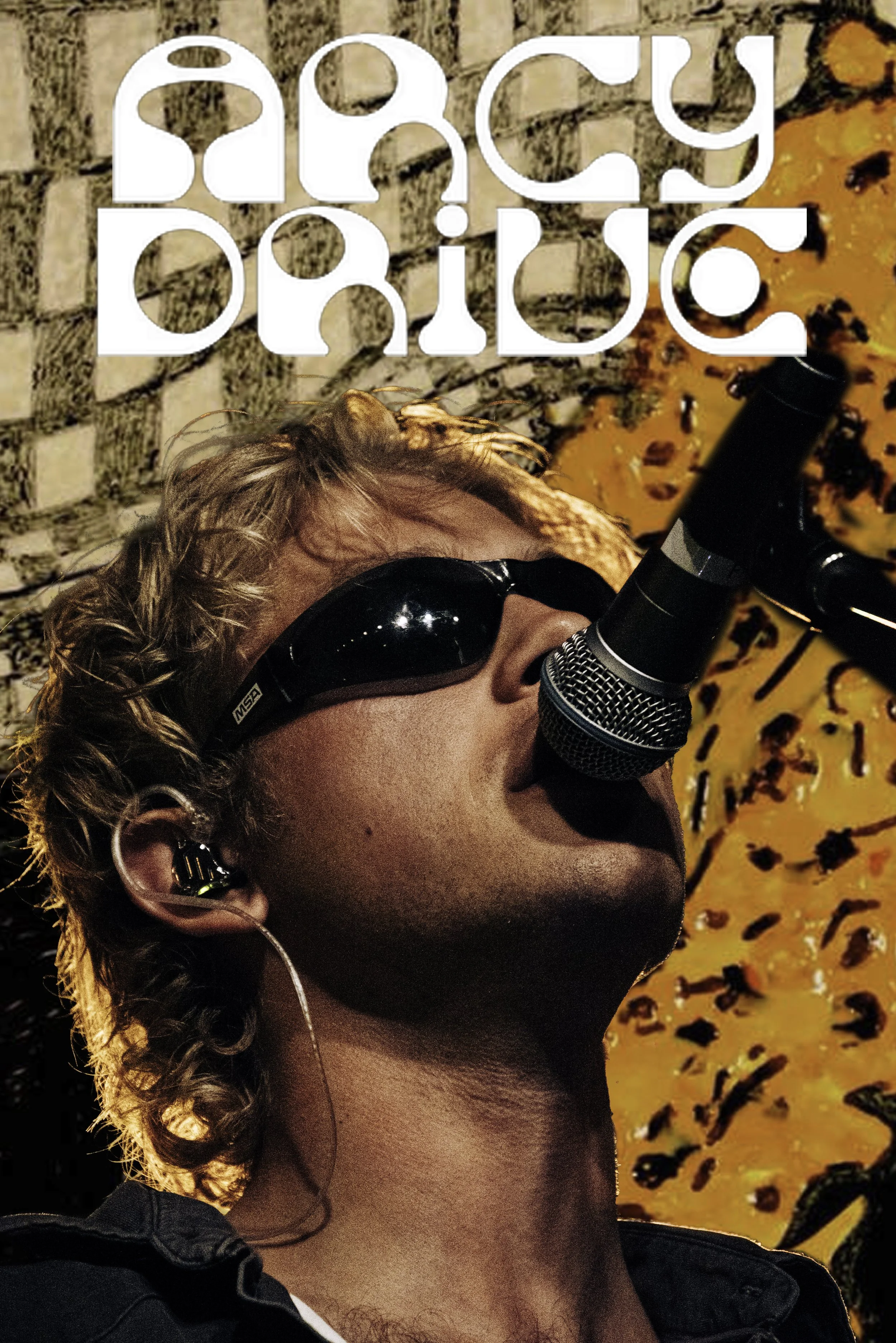 ArcyDrivePat BeachPlum.jpg