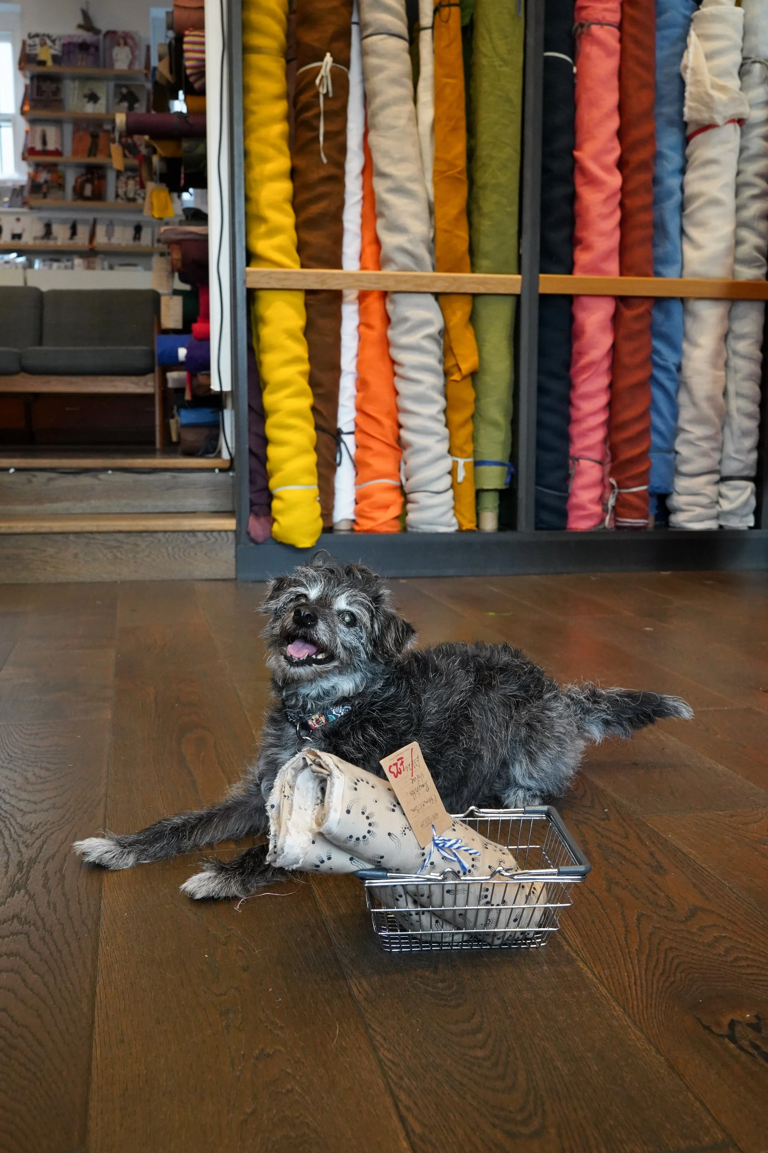 Furry friend fabric shopping