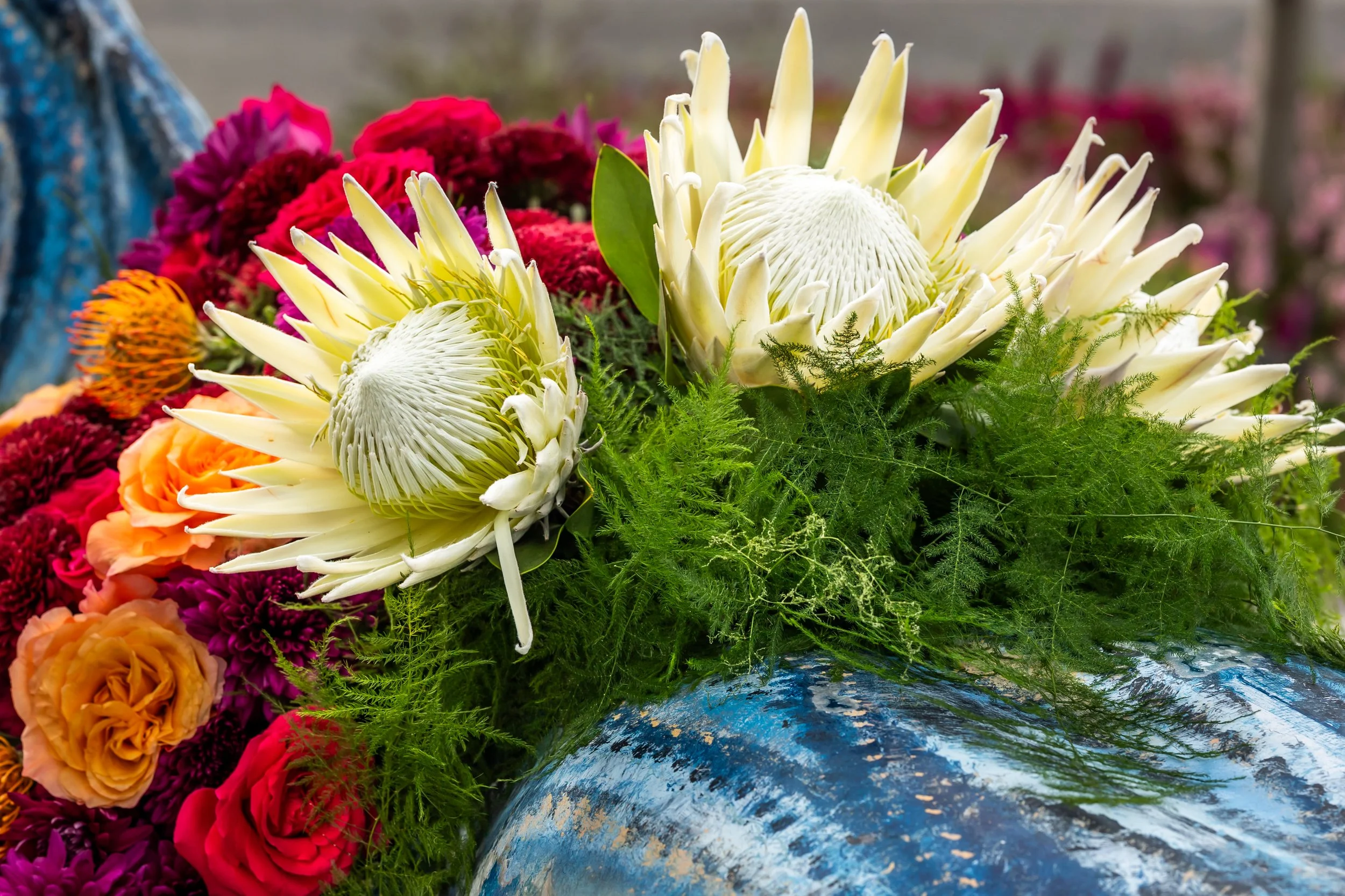 11_AutumHorse_12_Dahlias&Dreams_BVP_0020_Manhasset26.jpg