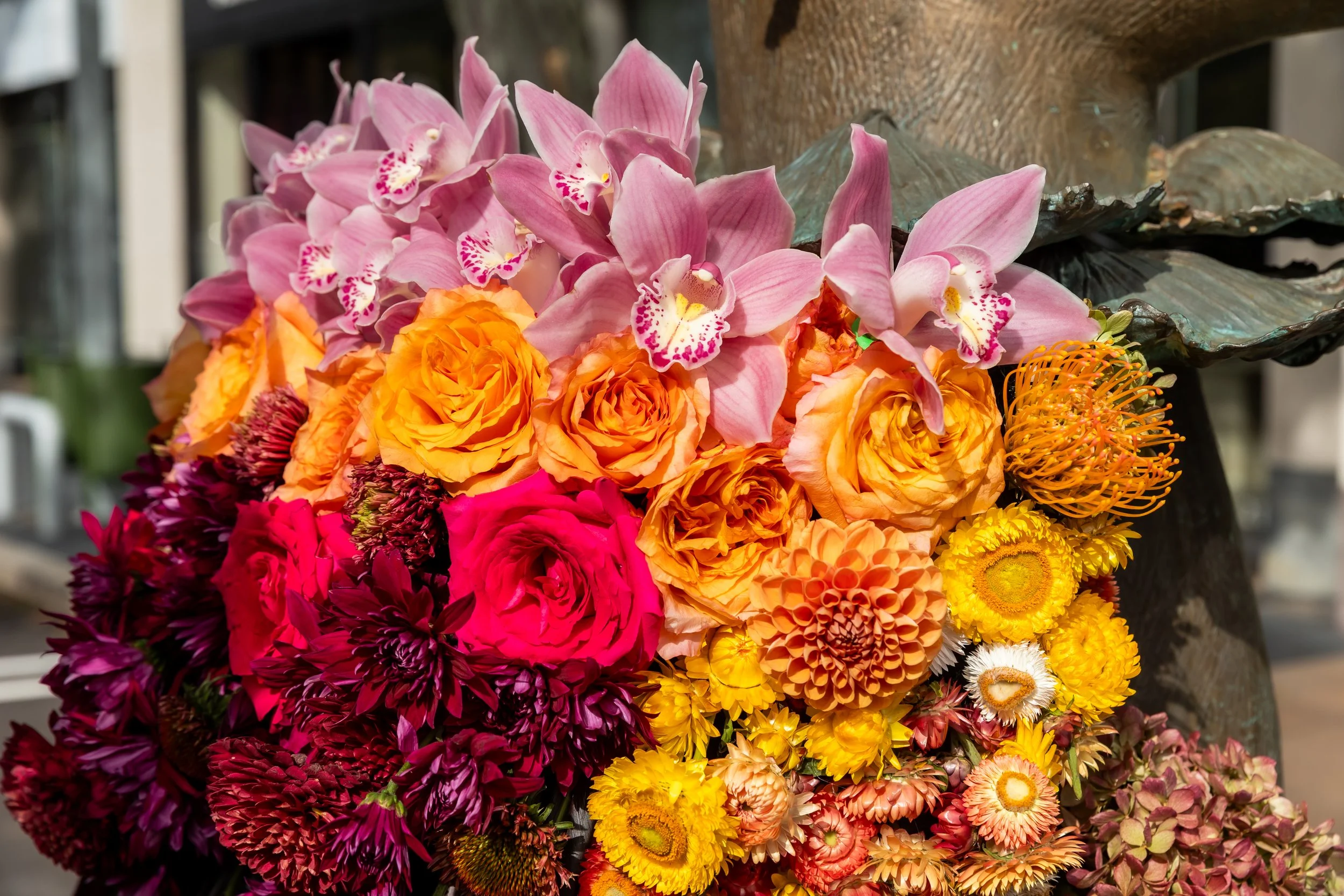 14_AutumnHare_3_Dahlias&Dreams_BVP_0199_Manhasset26.jpg