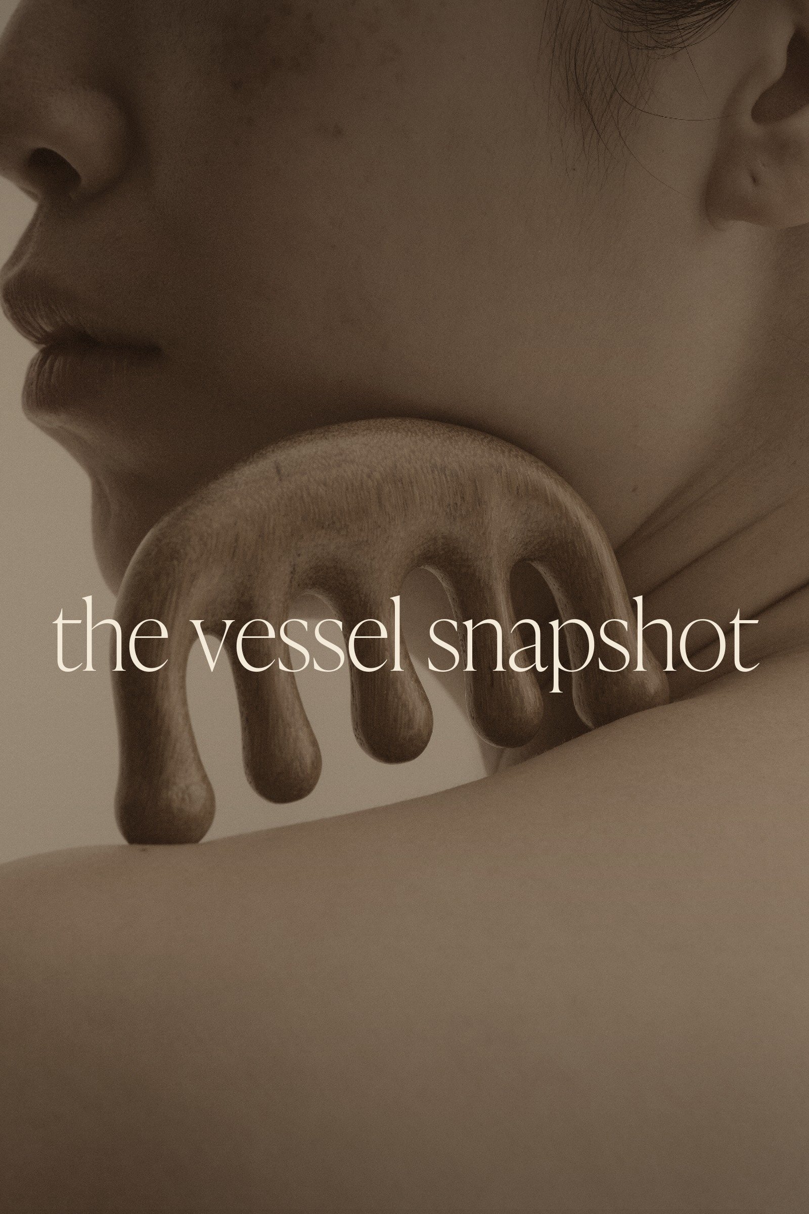 The Vessel Snapshot