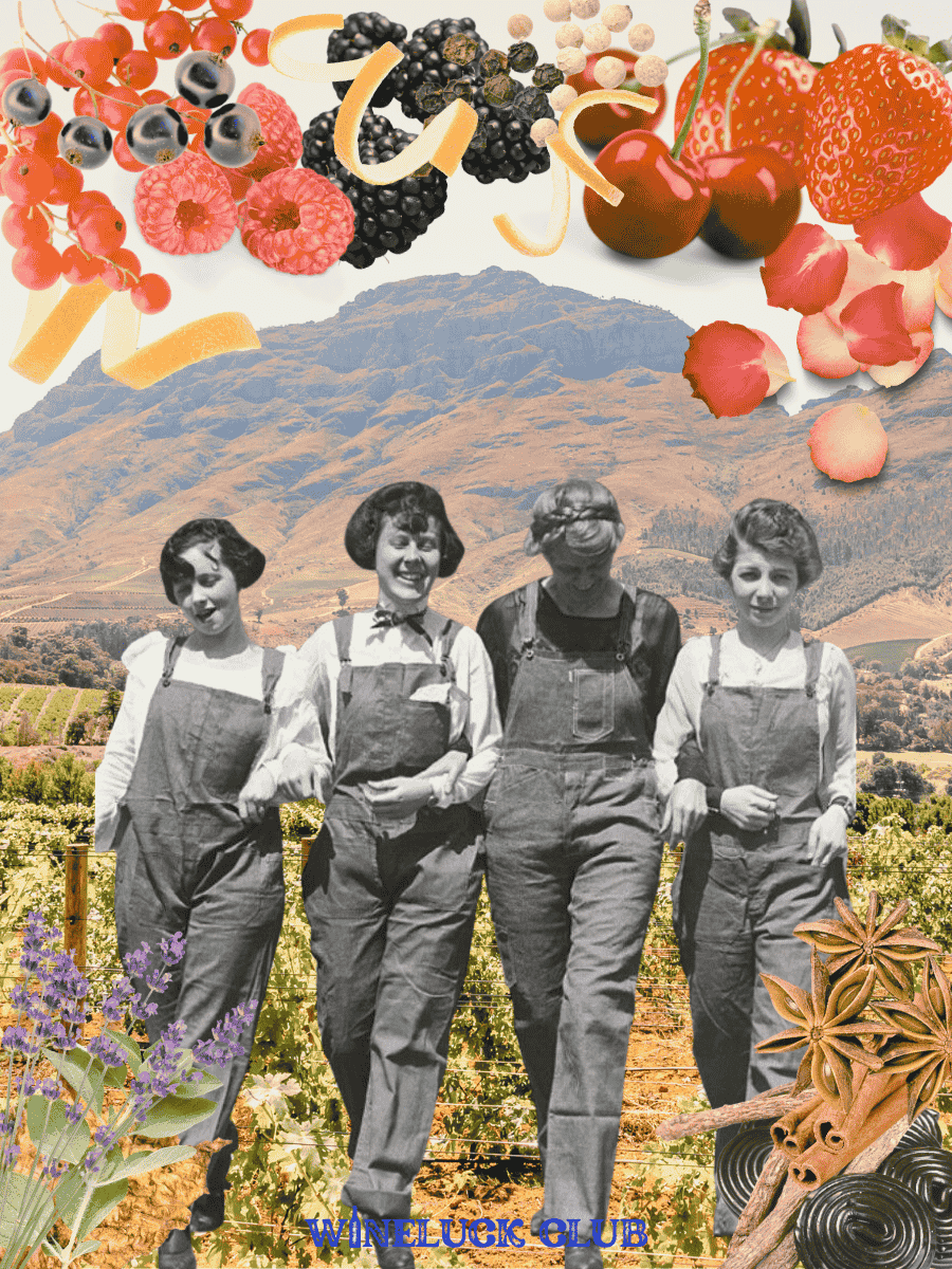 Workhorse Grapes