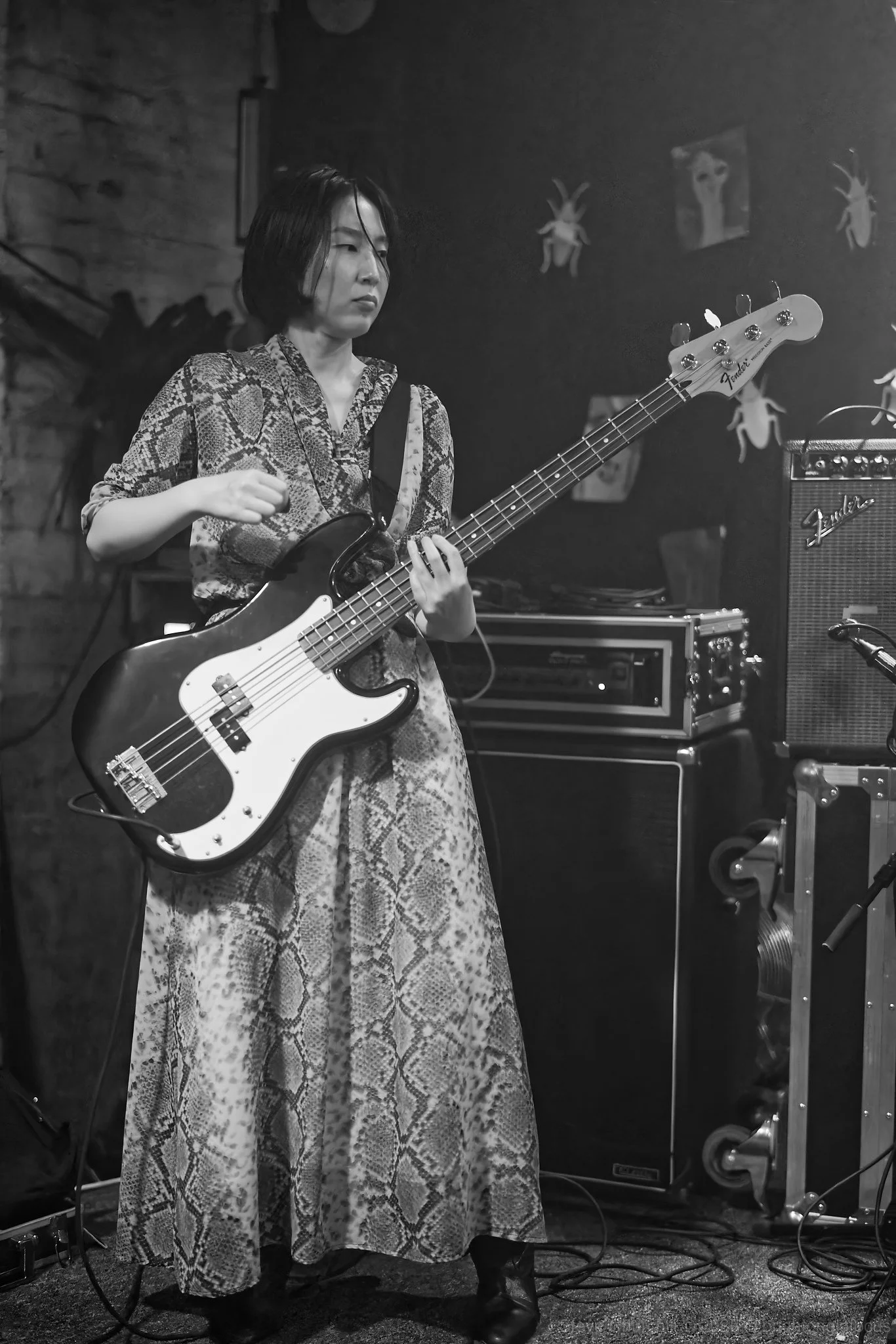 Qujaku - The Green Door Store - 19/08/2025