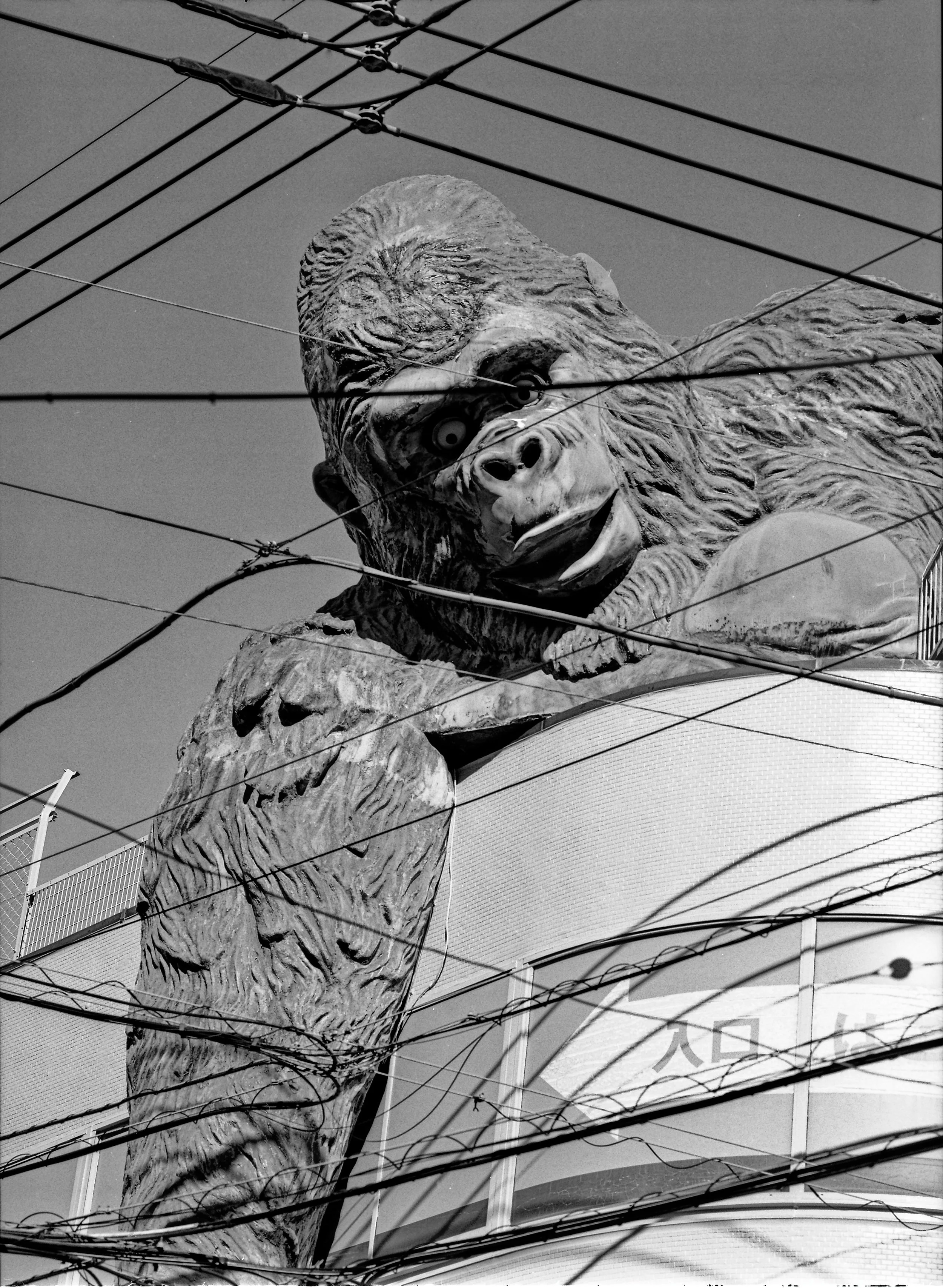 Film shots from my Pentax 645N