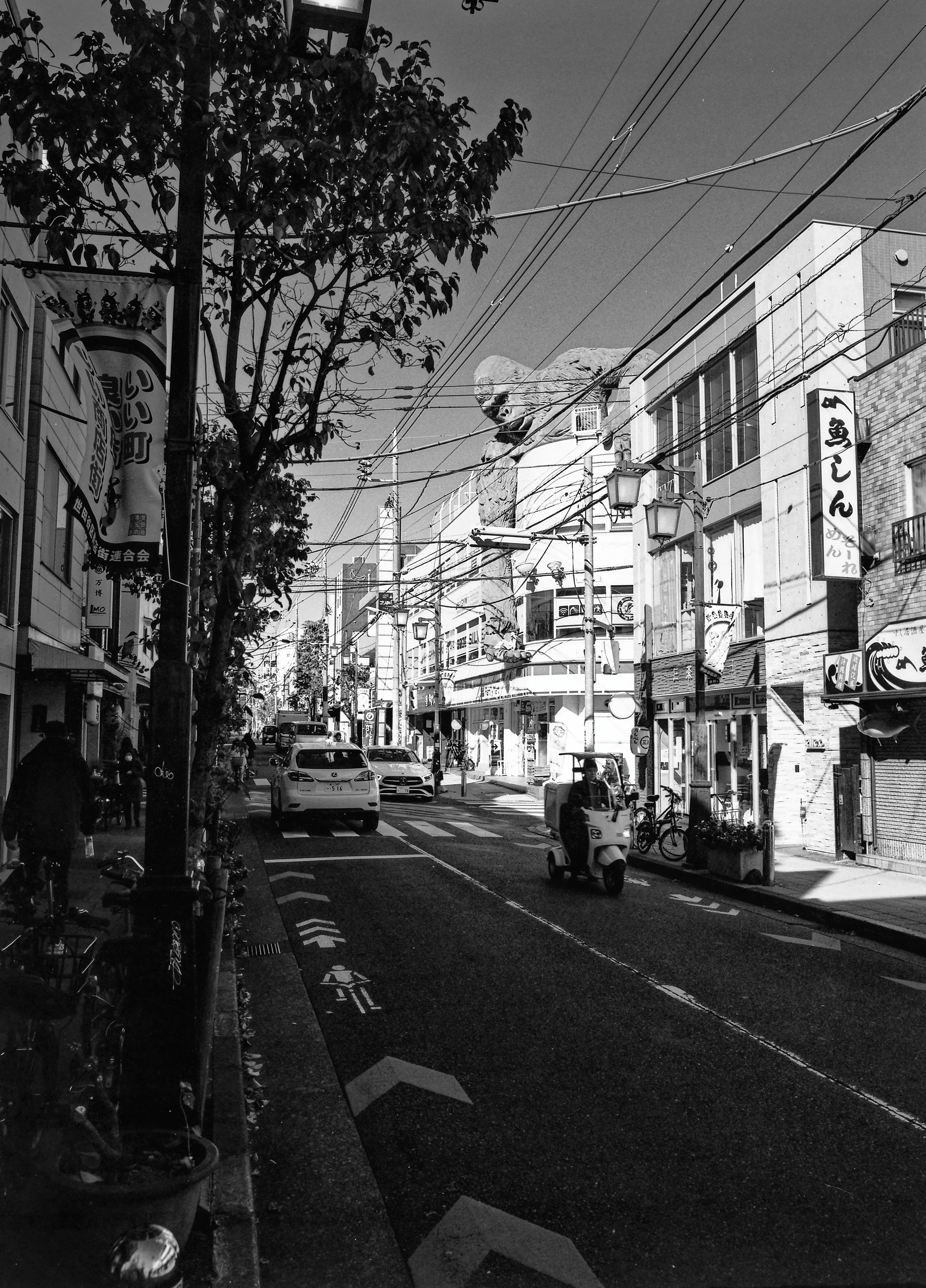 Film shots from my Pentax 645N