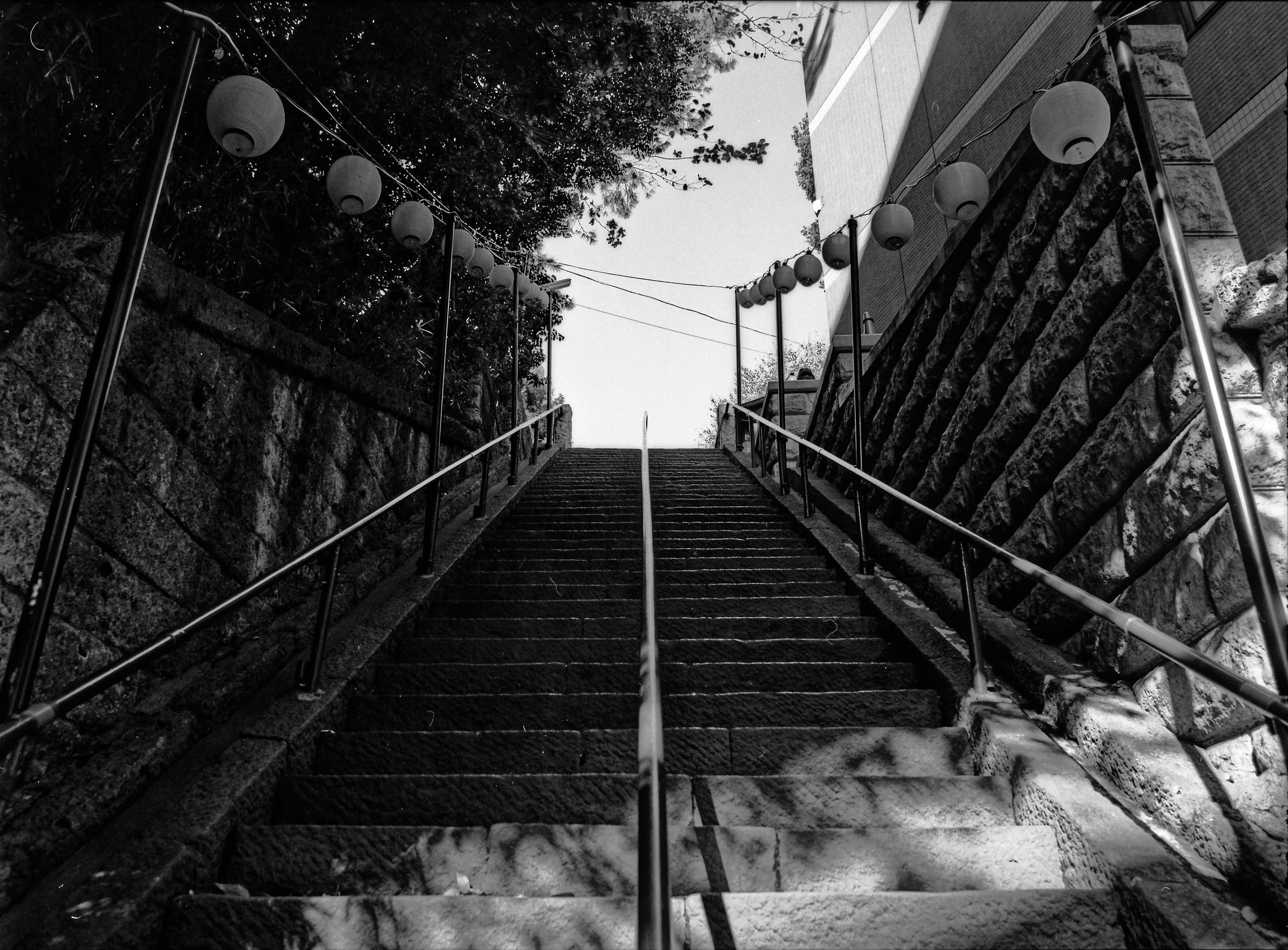 Film shots from my Pentax 645N