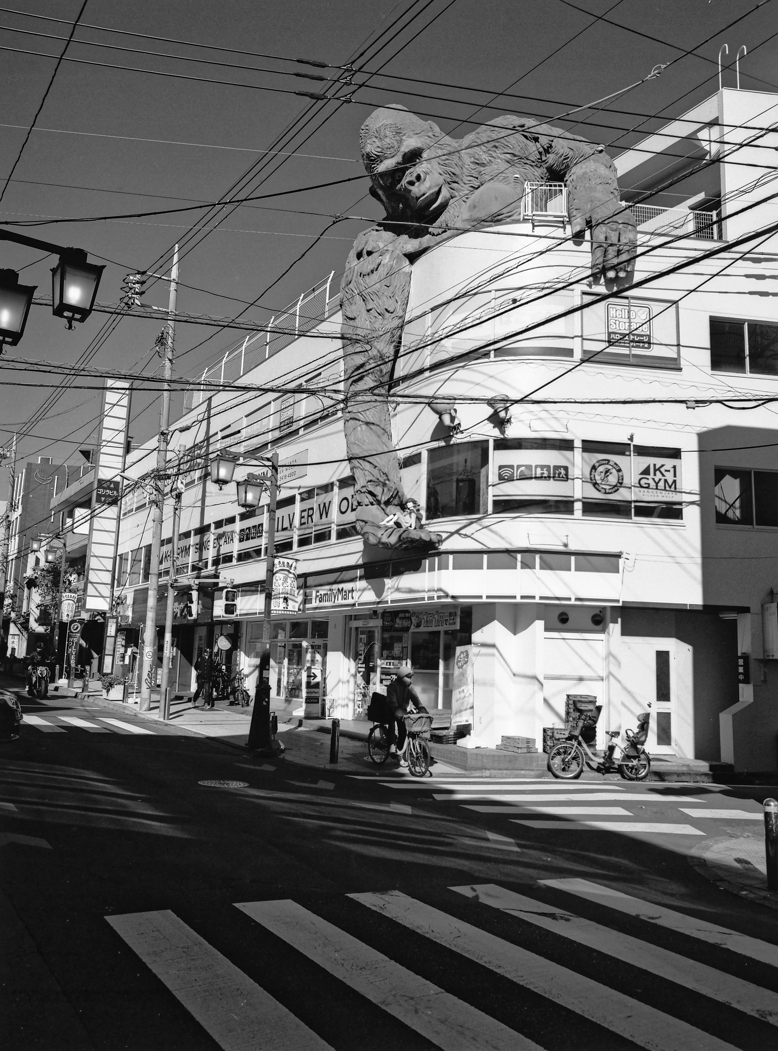 Film shots from my Pentax 645N