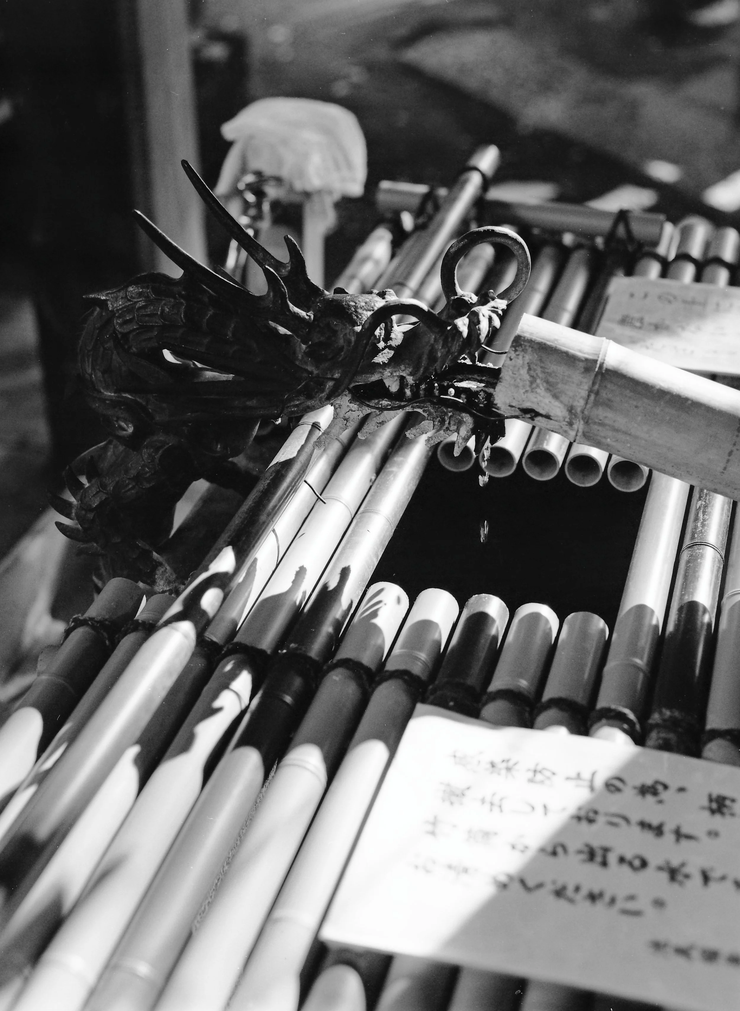 Film shots from my Pentax 645N