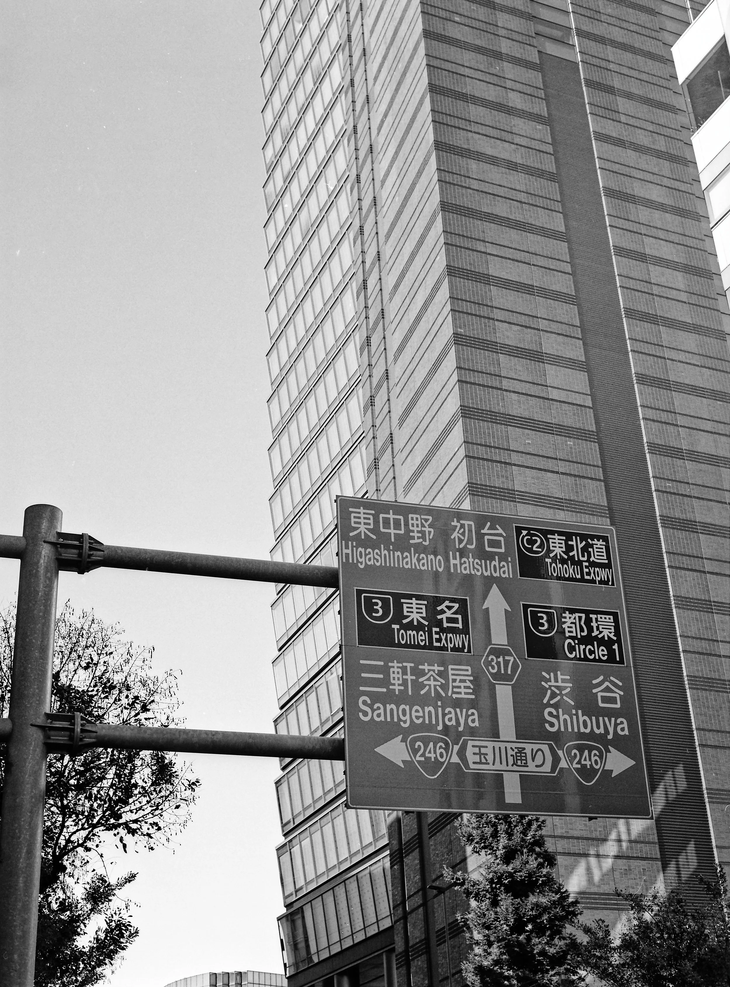 Film shots from my Pentax 645N