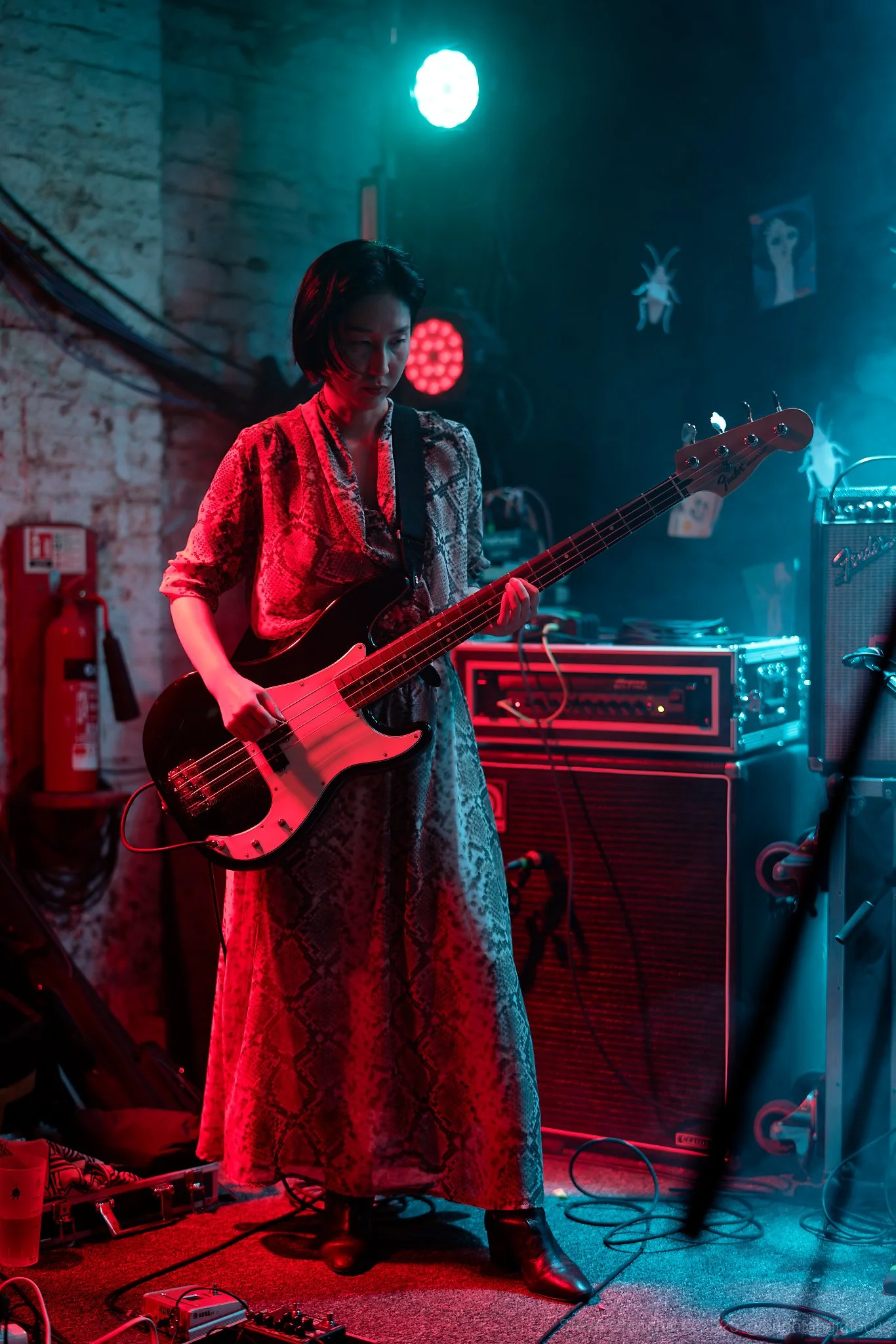 Qujaku - The Green Door Store - 19/08/2025