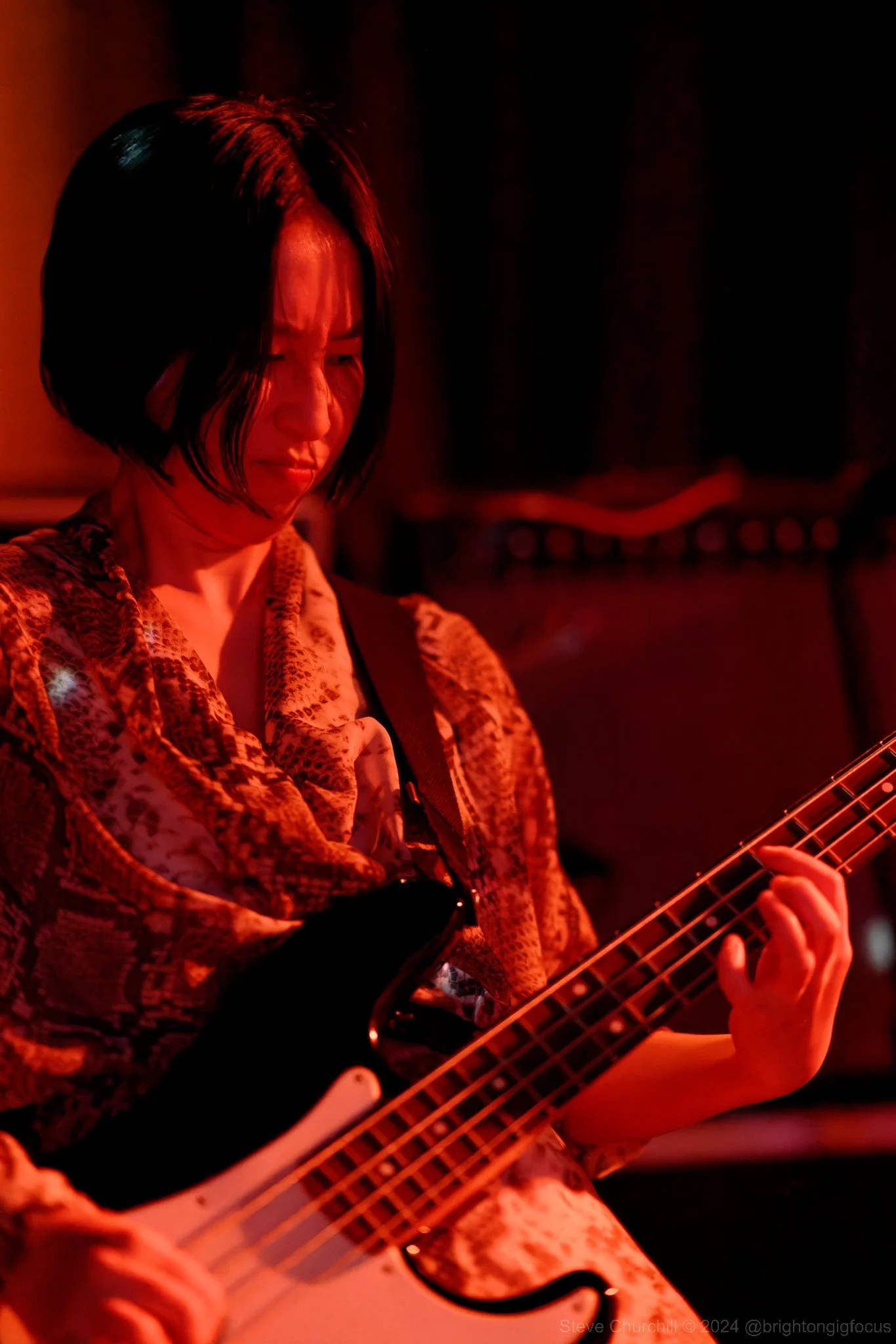 Qujaku - The Prince Albert - 28/09/2024