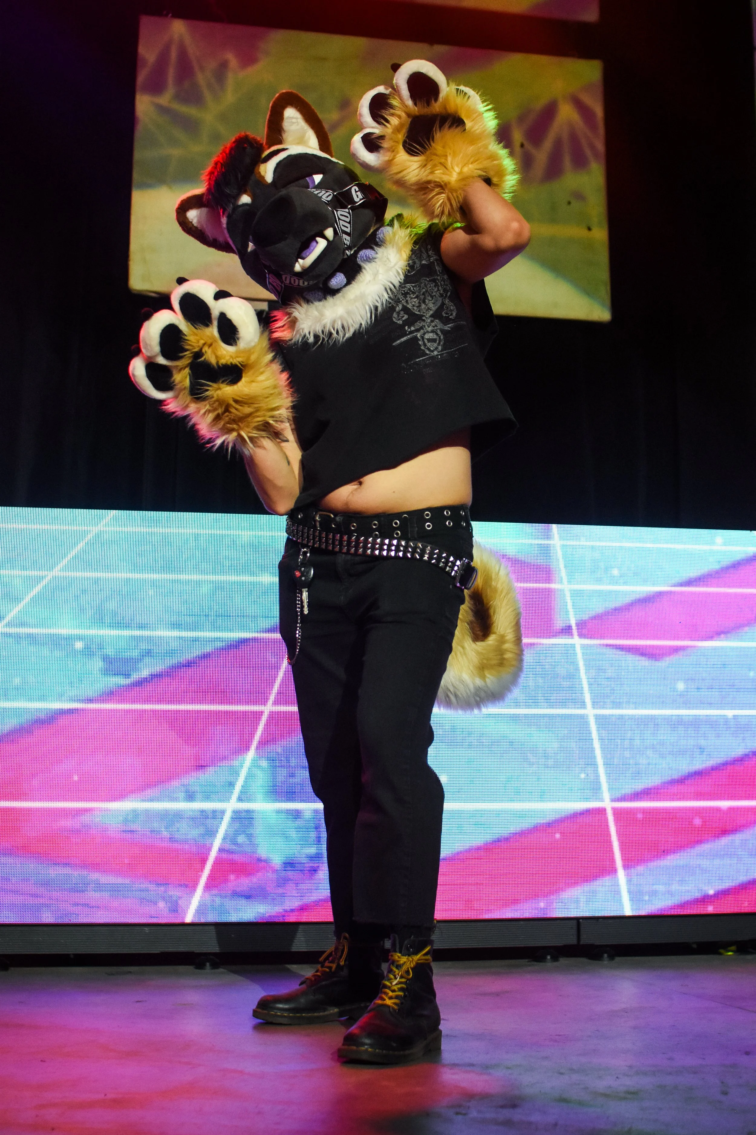 DSC_1520.jpg