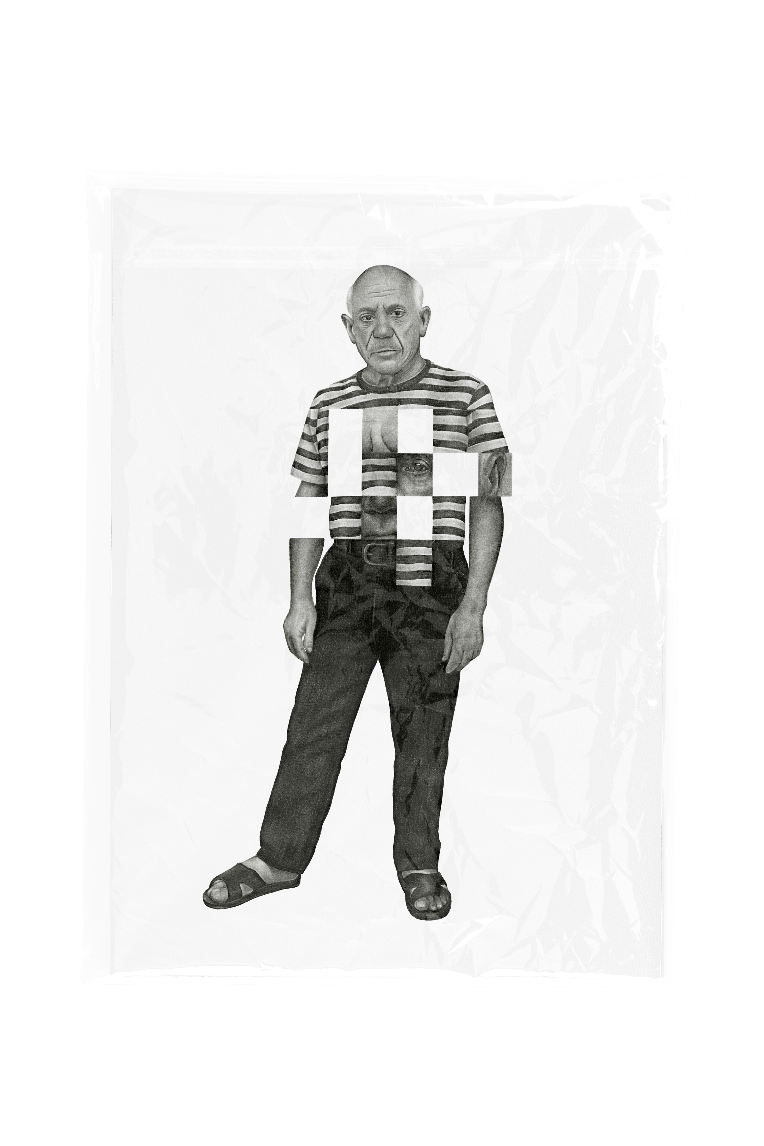 picasso packaged.png