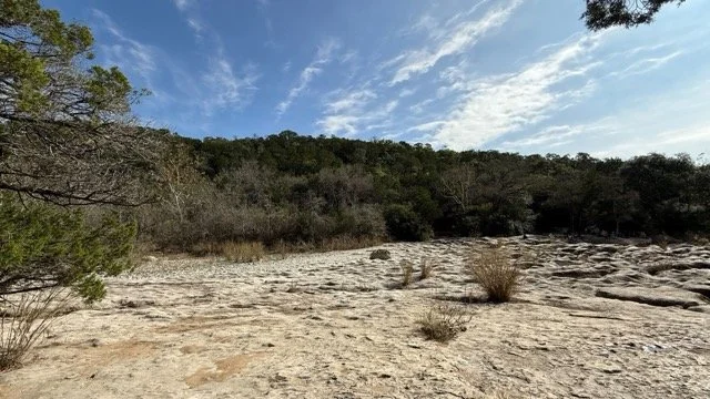 IMG_3969 Medium.jpeg