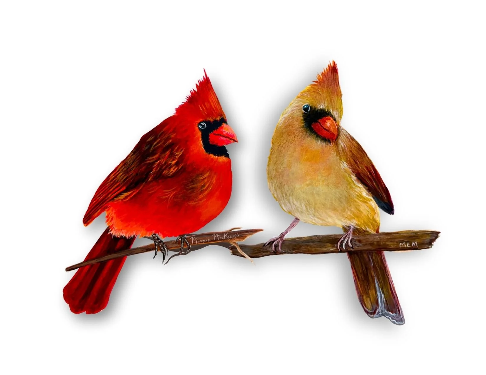 a greeting card of a male and female cardinal perched on a branch facing each other on a white background