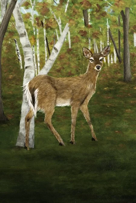 Autumn painting of two whitetail deer standing in a birch forest with golden fall leaves and green woodland floor, inspired by Nova Scotia nature.