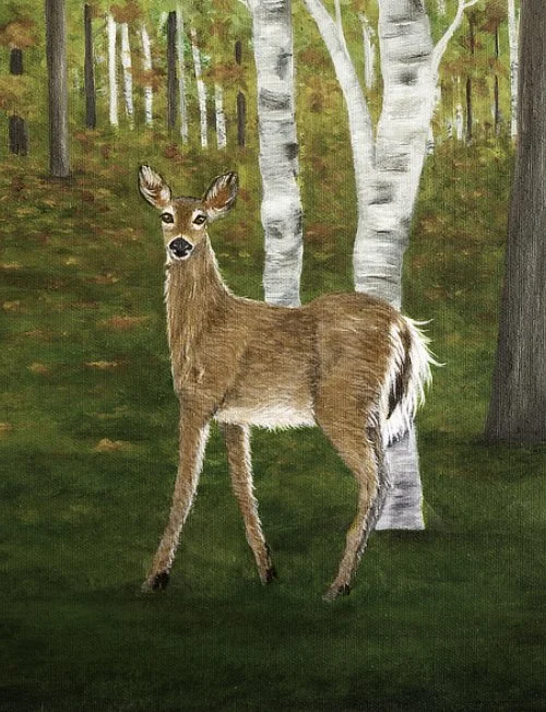 Autumn painting of two whitetail deer standing in a birch forest with golden fall leaves and green woodland floor, inspired by Nova Scotia nature.