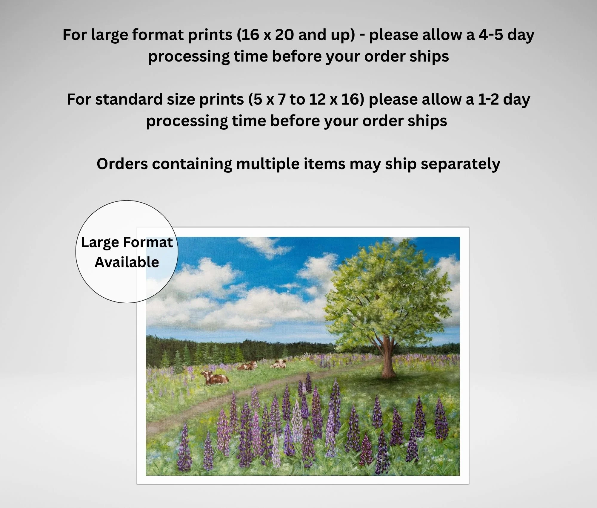 large format prints by Maureen MacKenzie.jpg