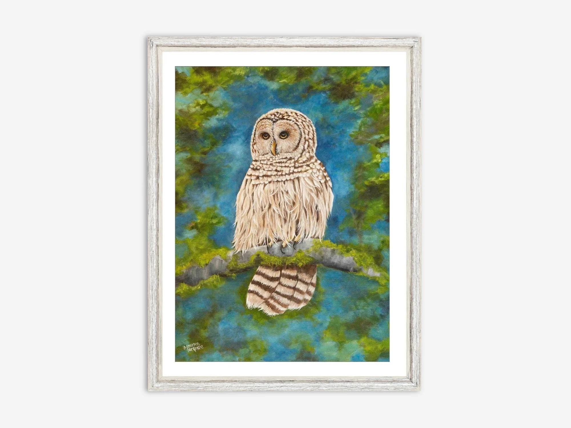 a fine art print of a barred owl perched on mossy branch with soft forest background wildlife art