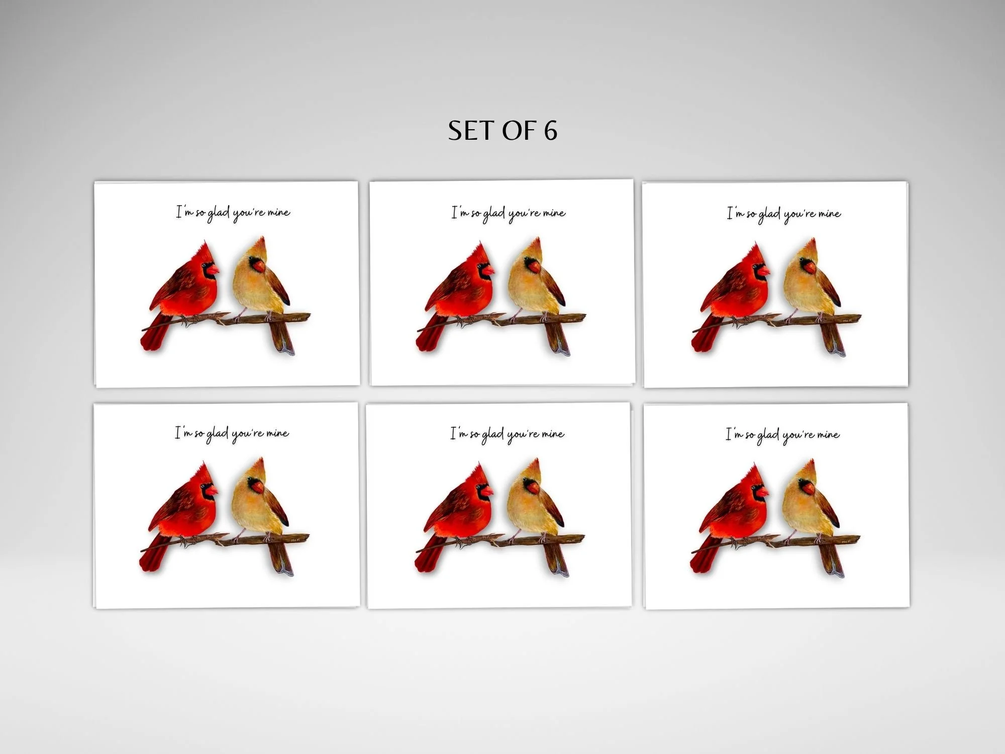 cardinal love bird card set of 6.jpg