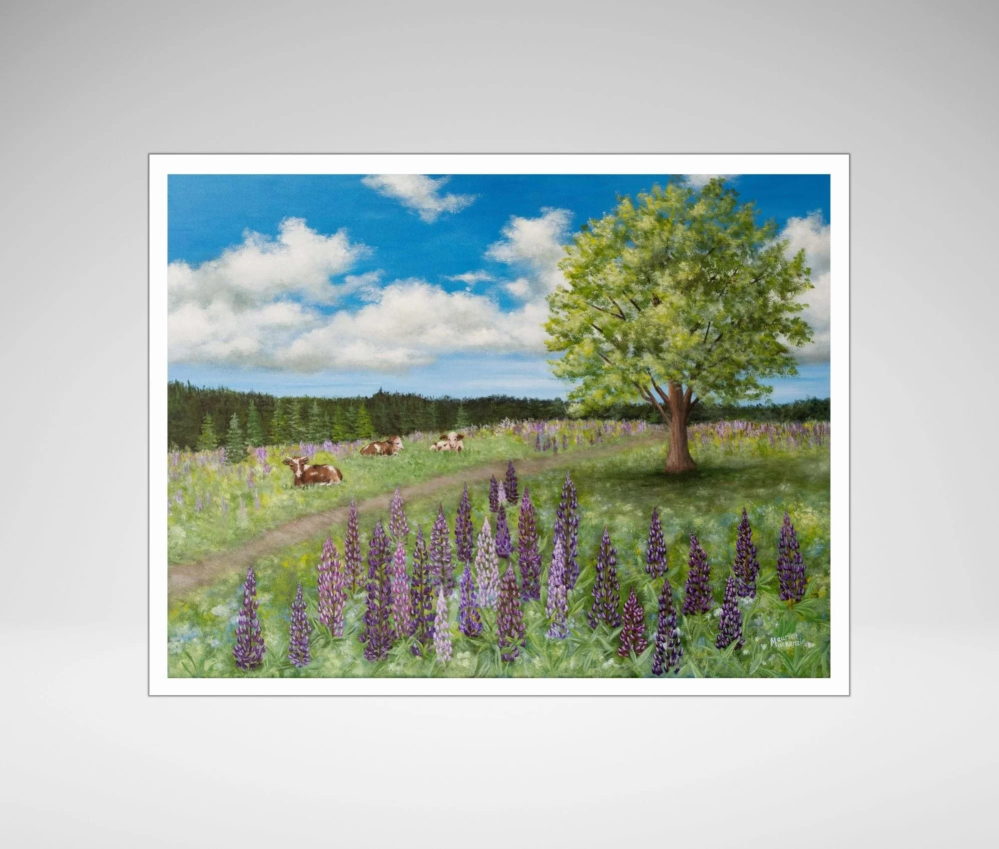 Fine art print of an original painting showing cows resting in a peaceful summer pasture surrounded by blooming purple lupines beneath a large shade tree and bright blue sky.