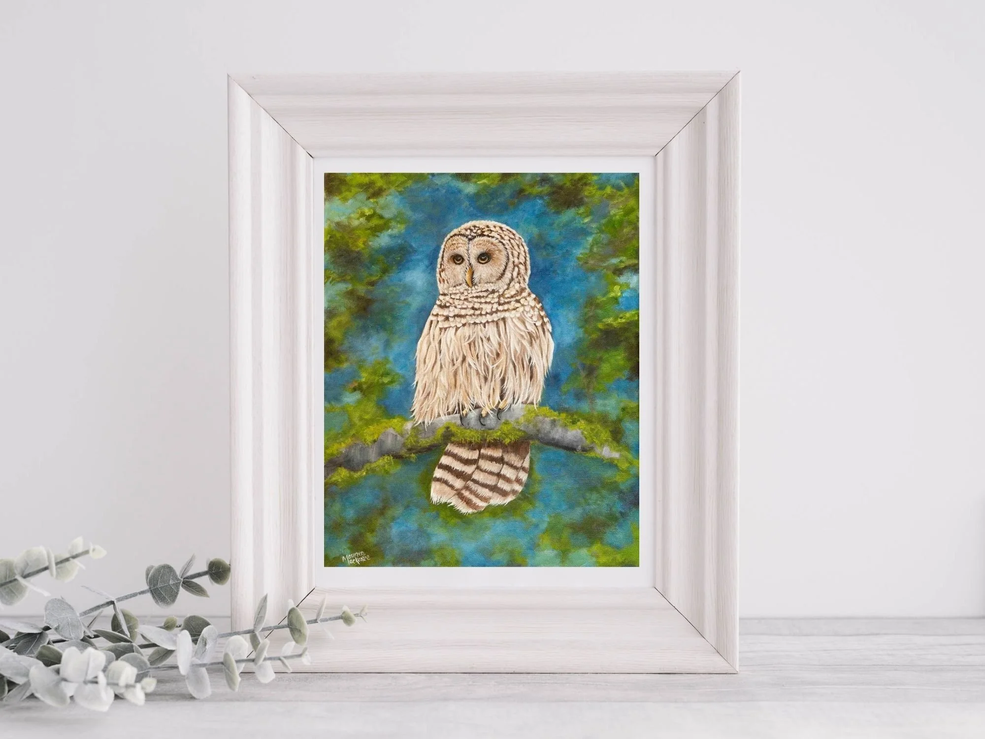 a fine art print of a barred owl perched on mossy branch with soft forest background wildlife art