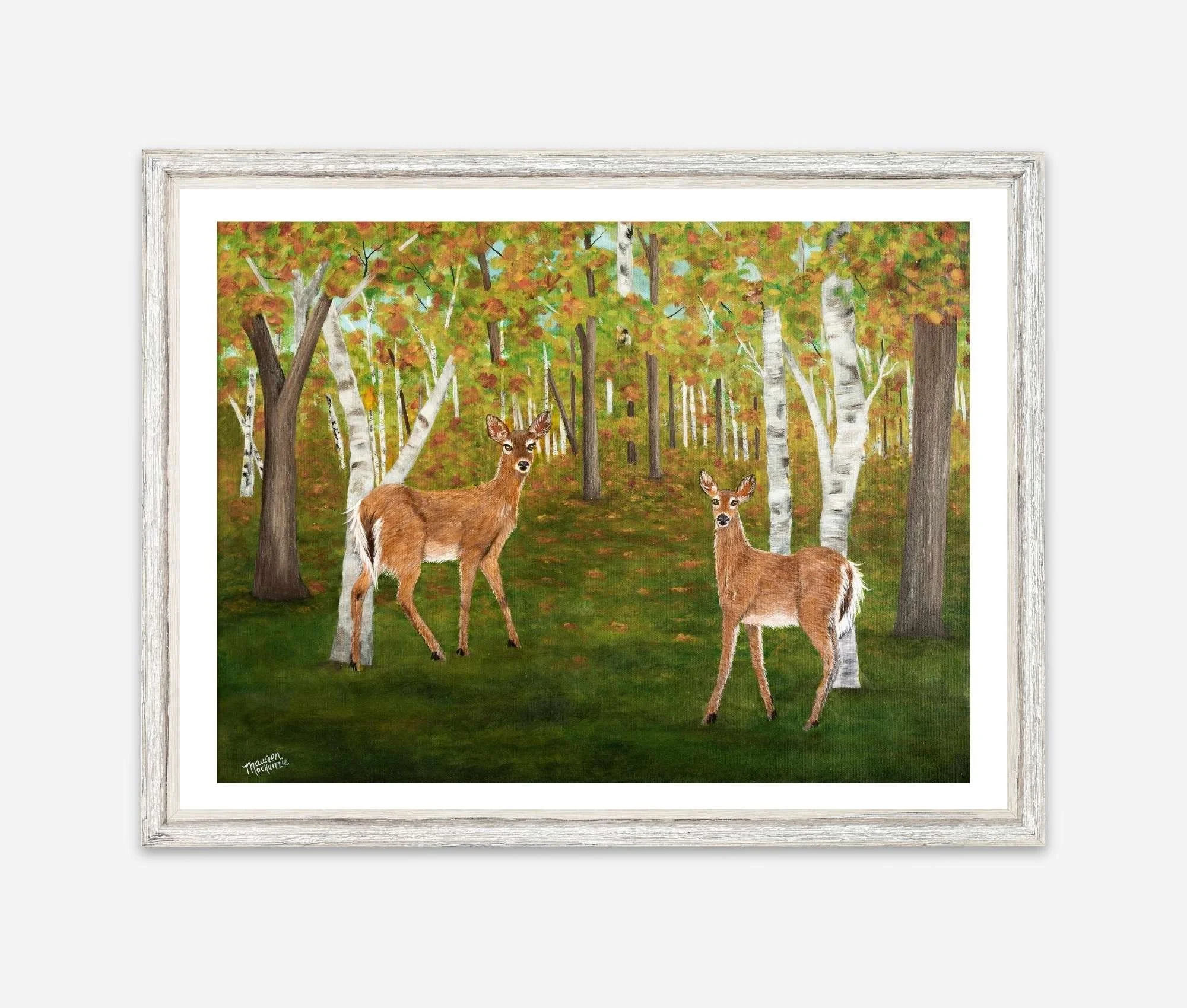 Autumn painting of two whitetail deer standing in a birch forest with golden fall leaves and green woodland floor, inspired by Nova Scotia nature.