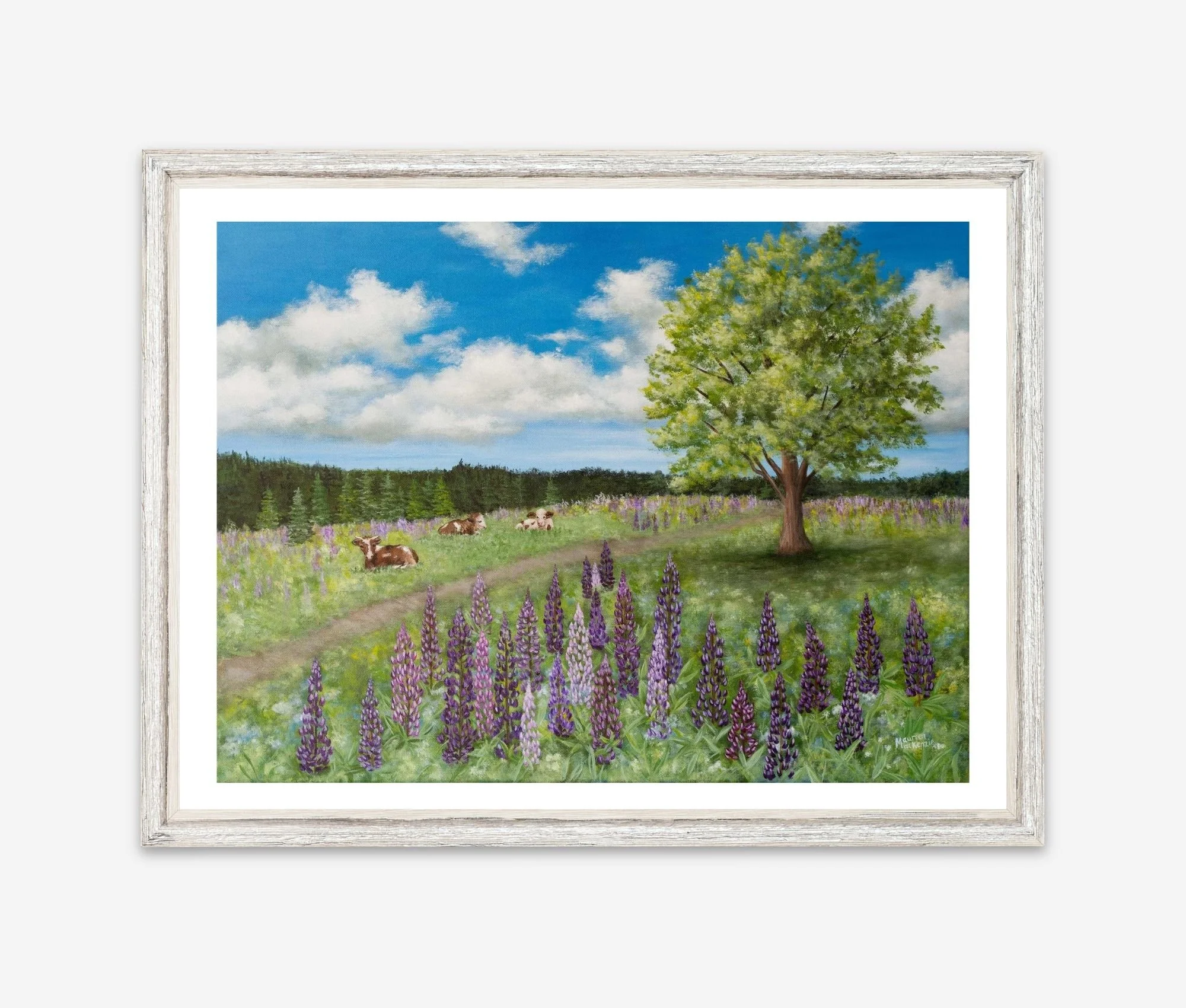 Fine art print of an original painting showing cows resting in a peaceful summer pasture surrounded by blooming purple lupines beneath a large shade tree and bright blue sky.