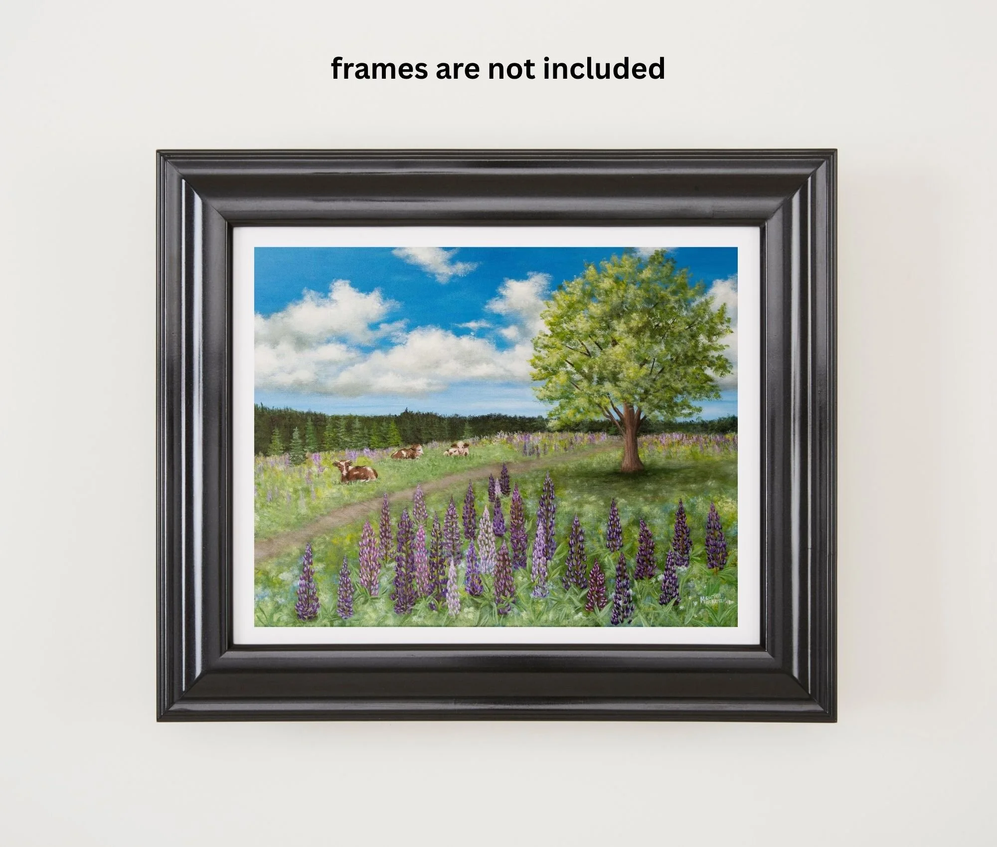 a close up of a print of an original painting showing cows resting in a peaceful summer pasture surrounded by blooming purple lupines beneath a large shade tree and bright blue sky.