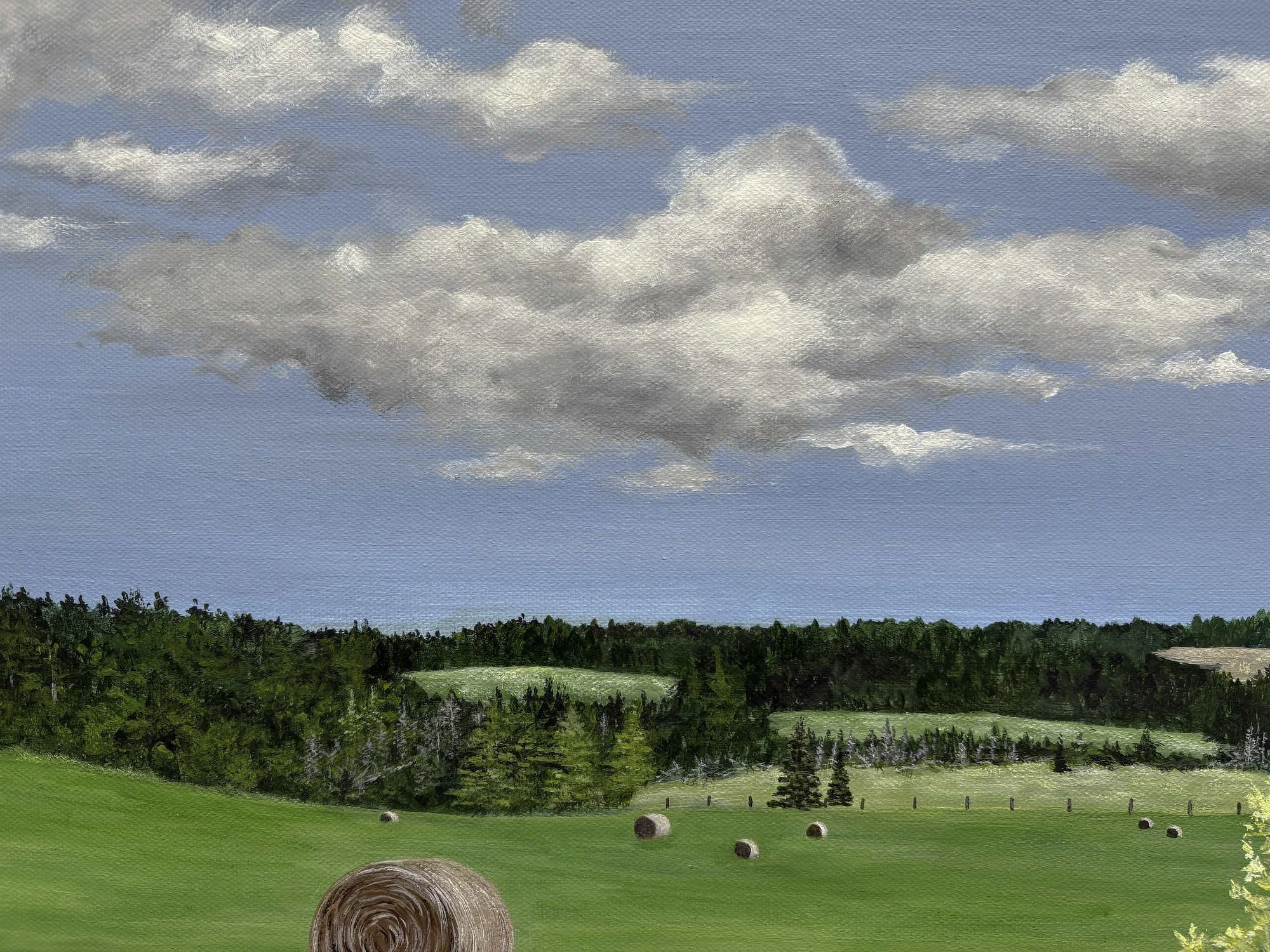 bales of hay close up.jpg