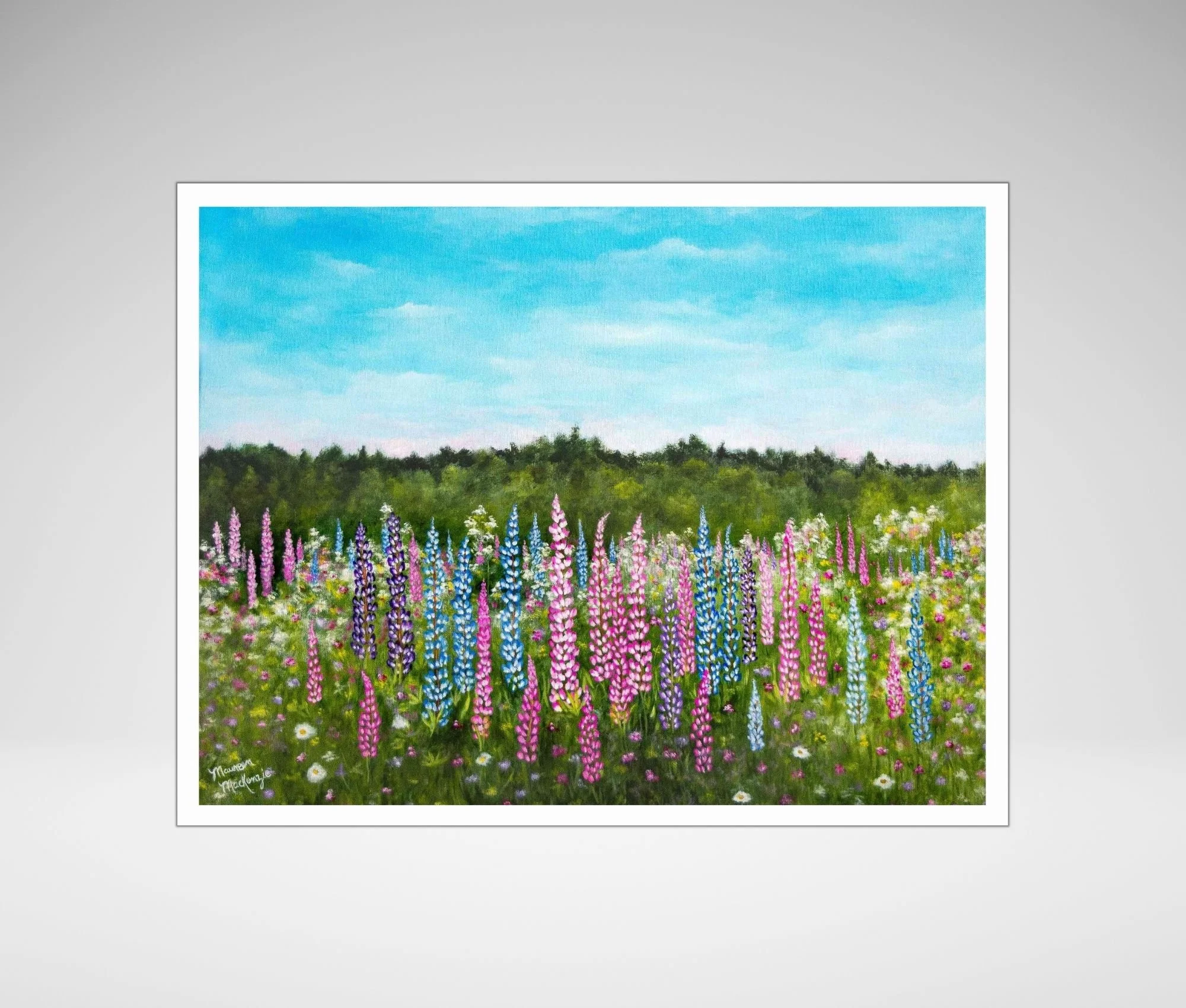 Nova Scotia Lupine Print