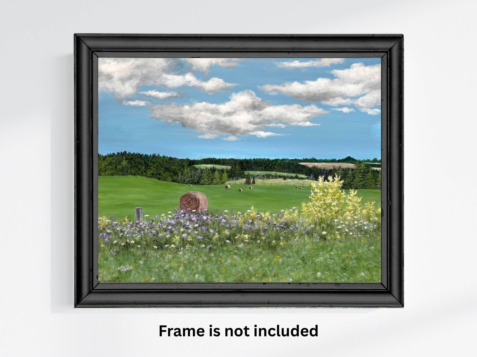 PEI landscape canvas in black frame.jpg
