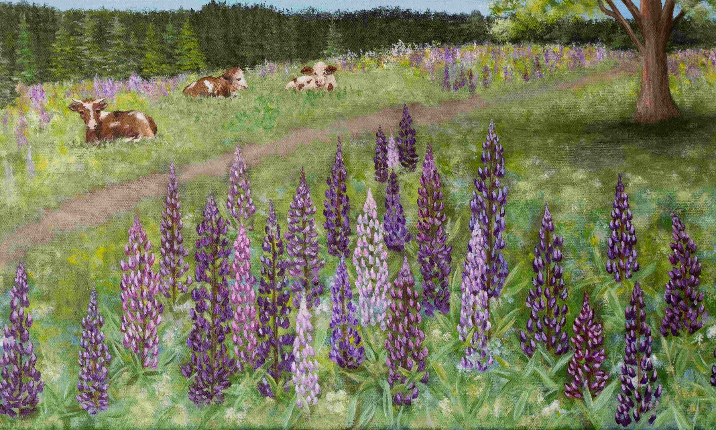 Original acrylic landscape painting featuring three brown and white cows resting in a green grass field with purple and pink lupine flowers in the foreground under a bright blue sky with white clouds.