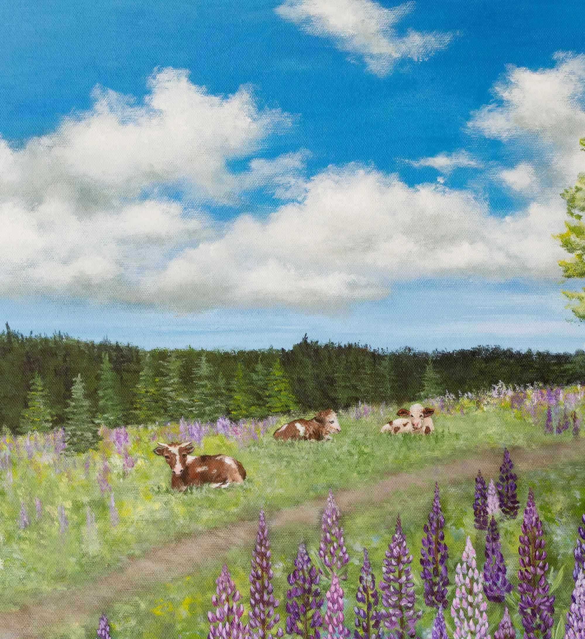 close up cows painting featuring three brown and white cows resting in a green grass field with purple and pink lupine flowers in the foreground under a bright blue sky with white clouds.