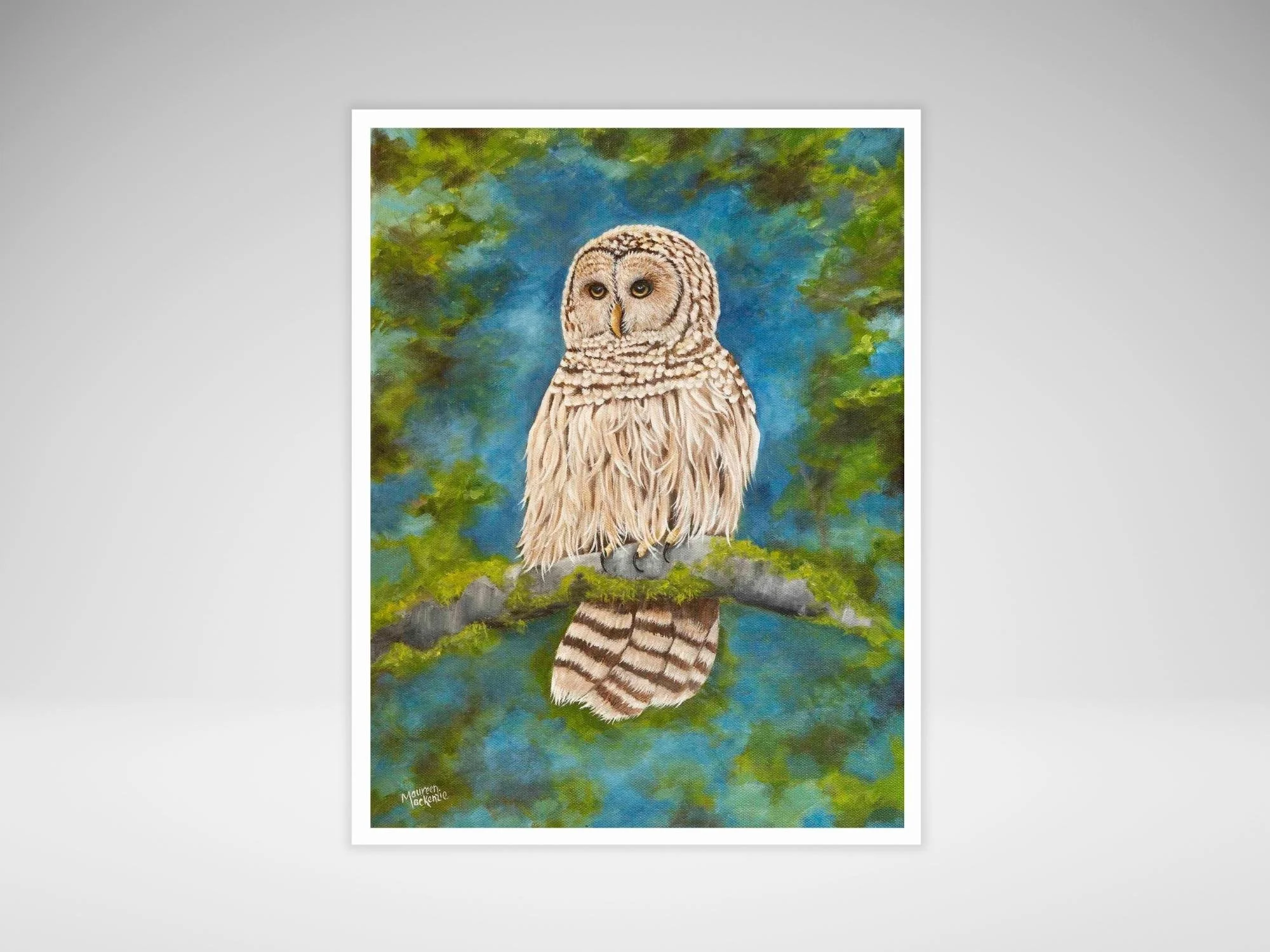 a fine art print of a barred owl perched on mossy branch with soft forest background wildlife art