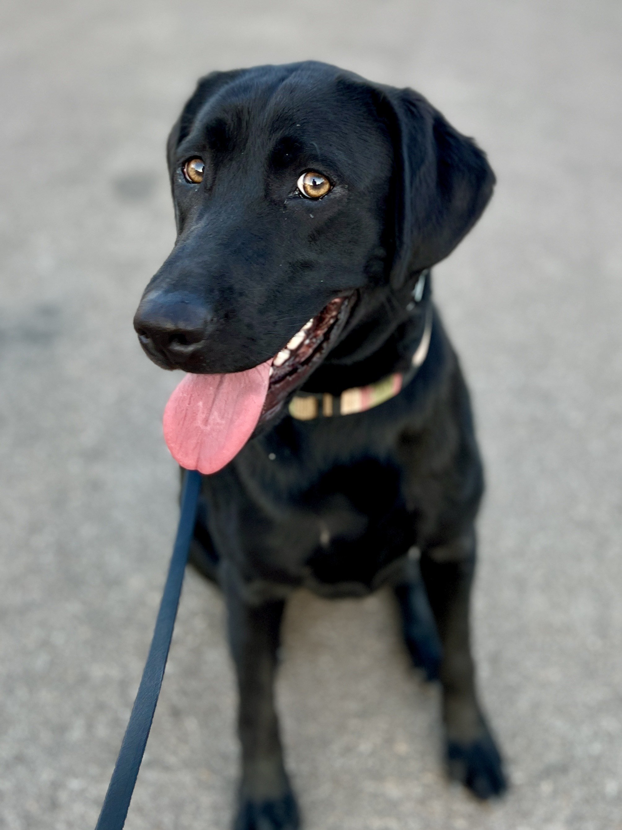 image_123650291 (21).JPG