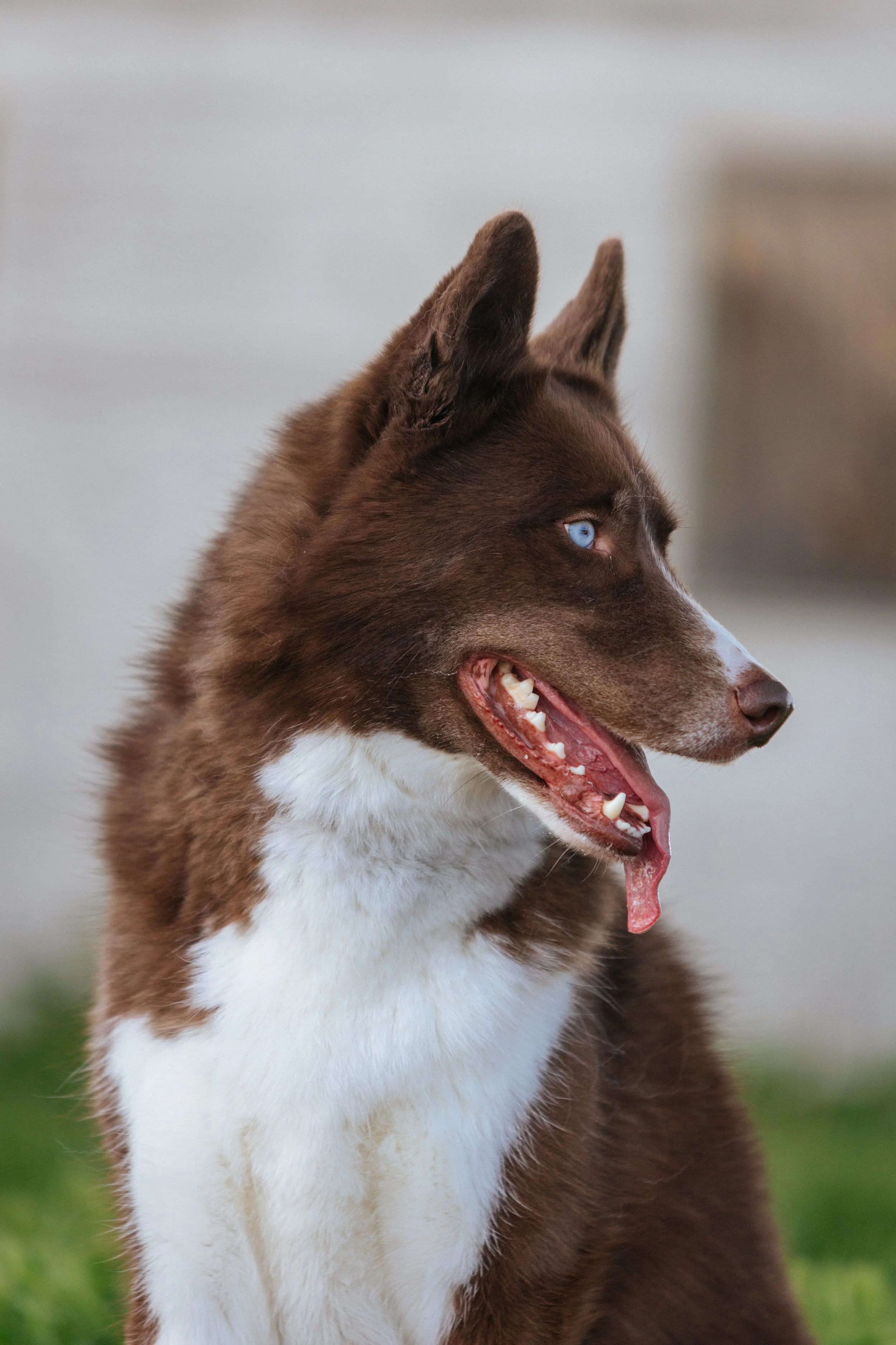 image_123650291 (4).JPG