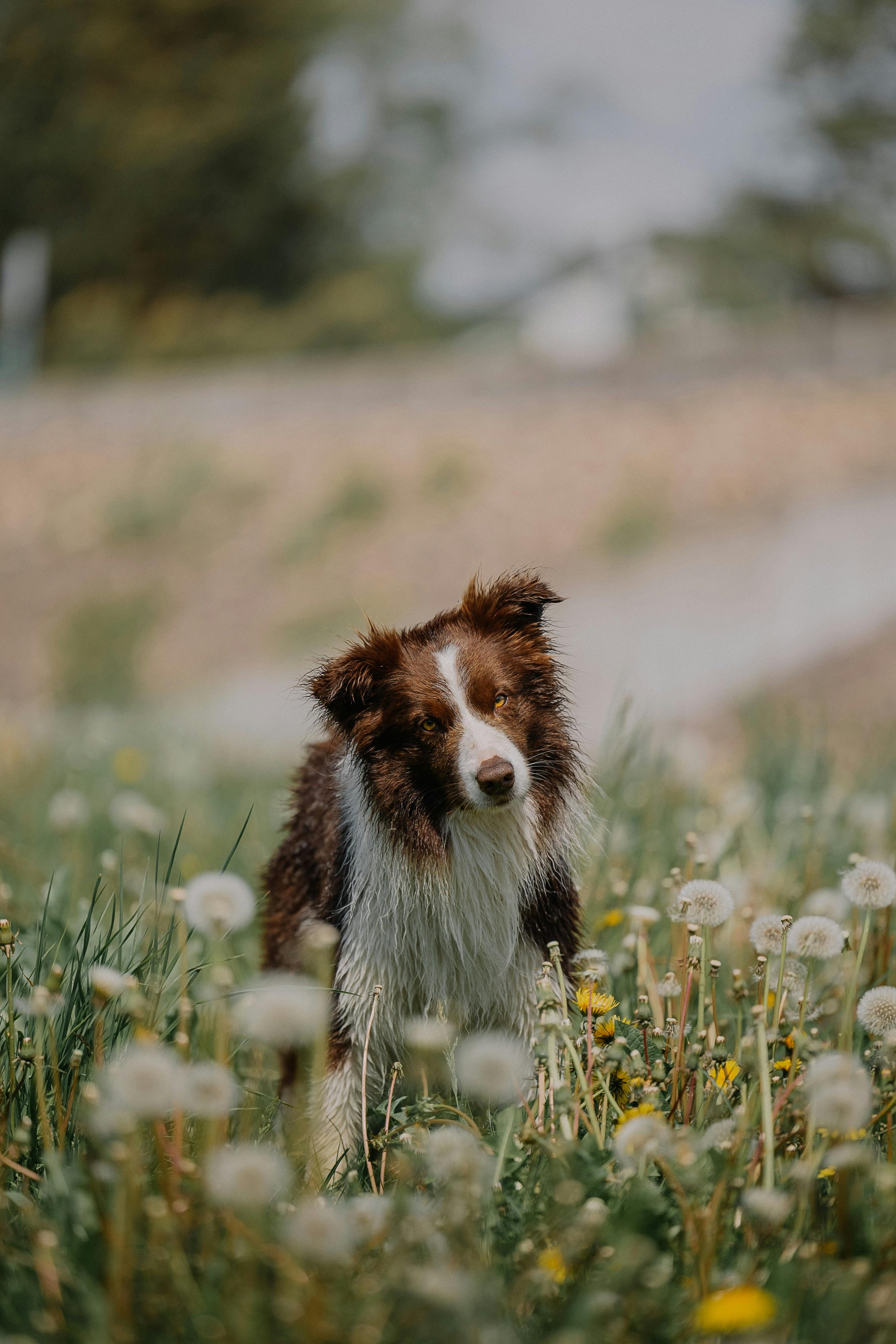 Spring Cleaning Your Grief: Letting Go Without Forgetting