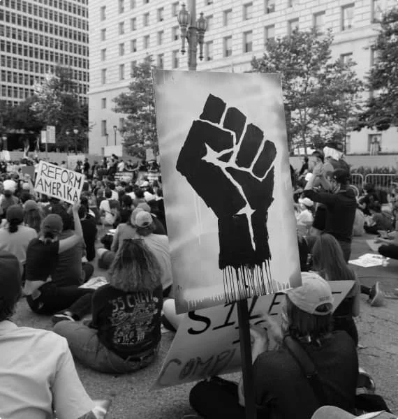  Image of a fist from the CANVAS website 