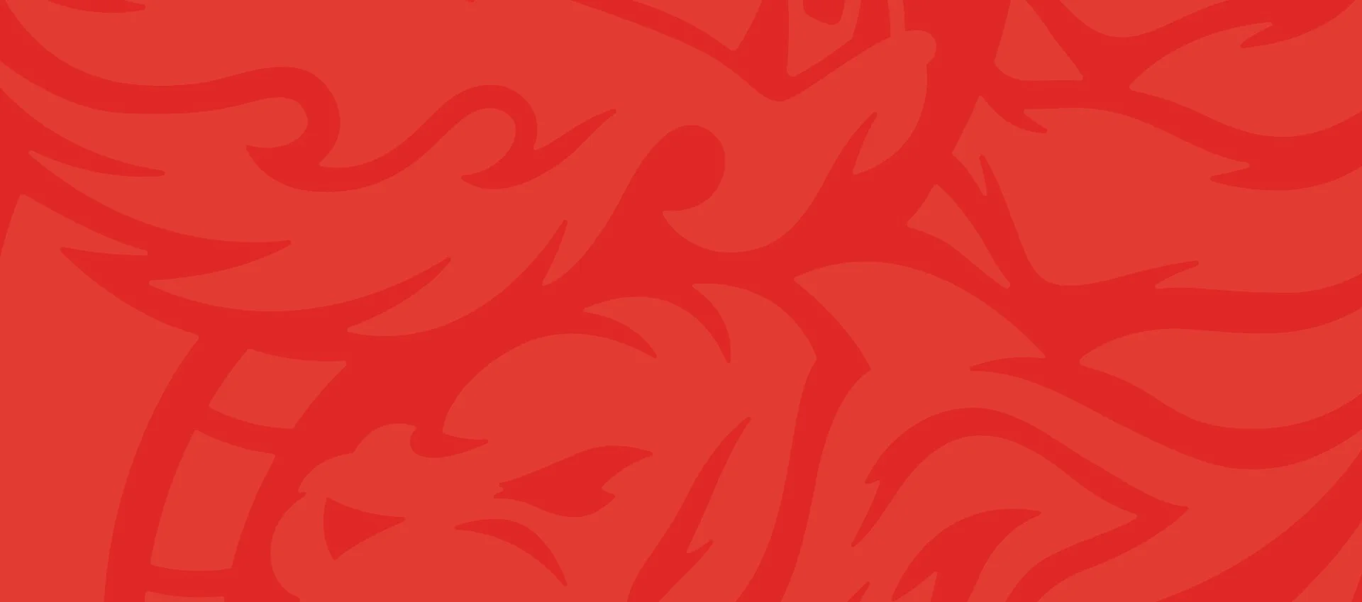 Dragon Tiger Noodle Company