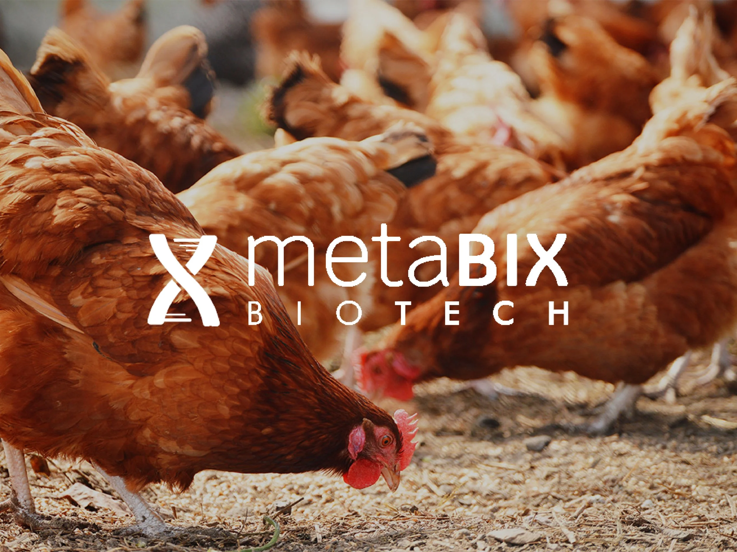 MetaBIX Biotech's cover image