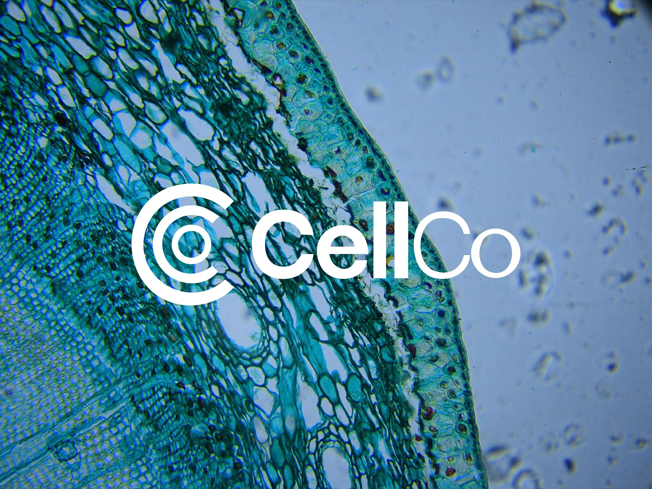 CellCo's cover image
