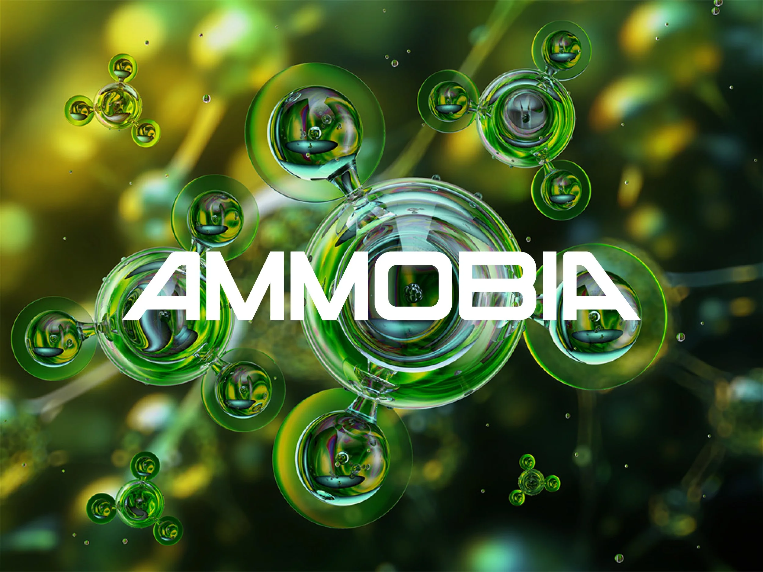 Ammobia's cover image